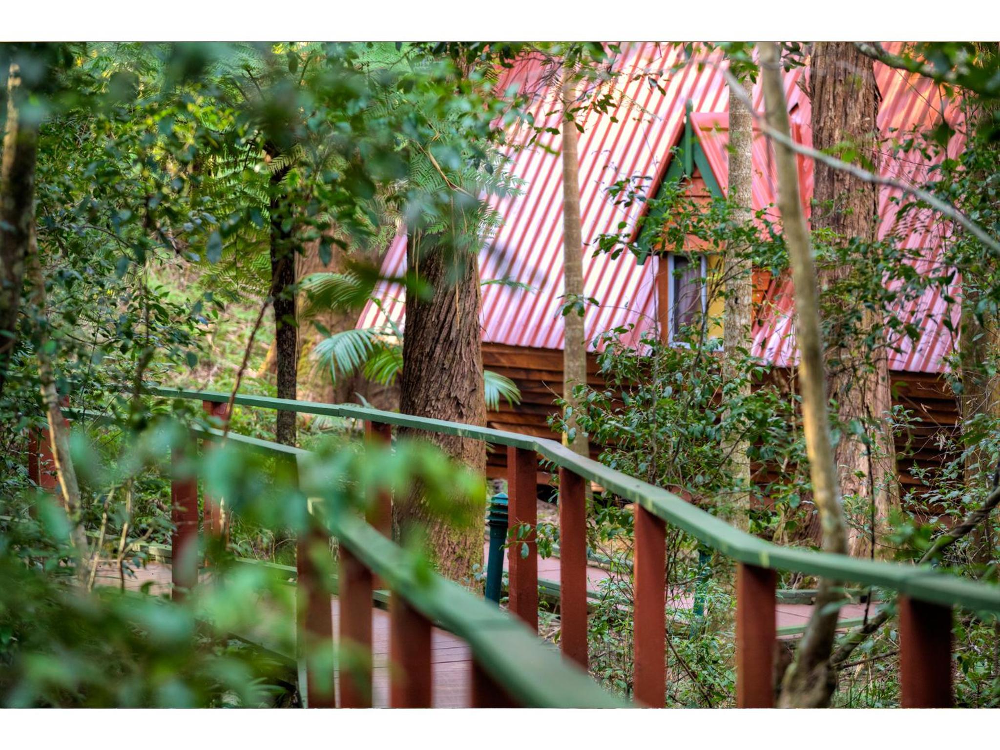 The Mouses House Rainforest Retreat