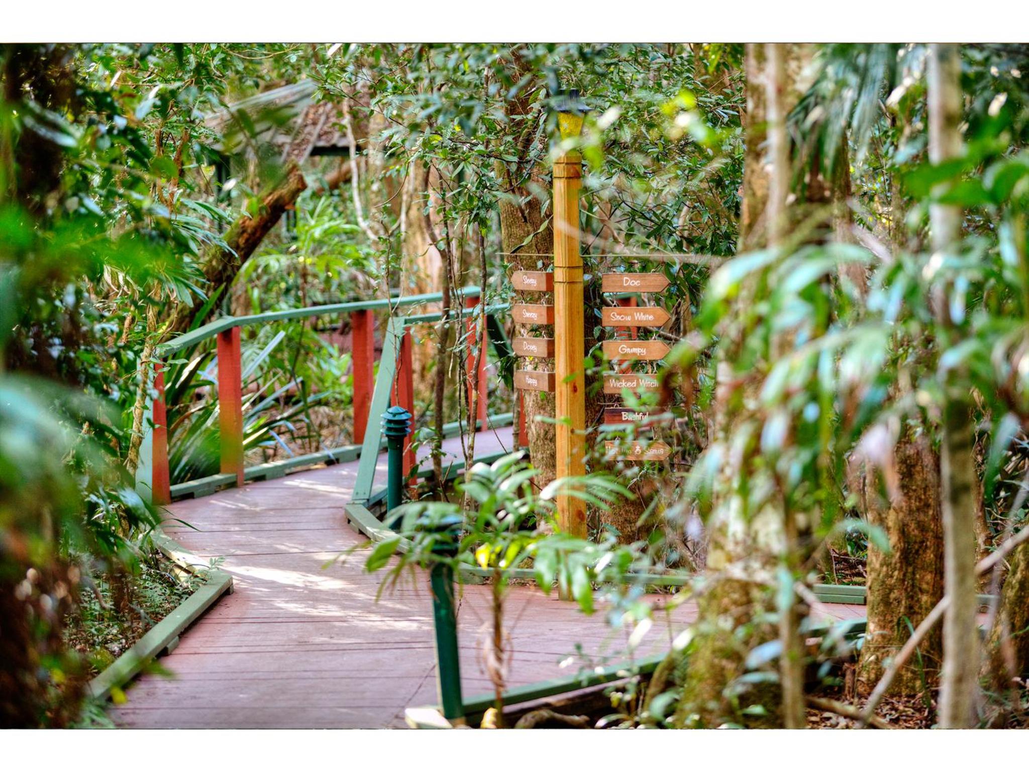 The Mouses House Rainforest Retreat