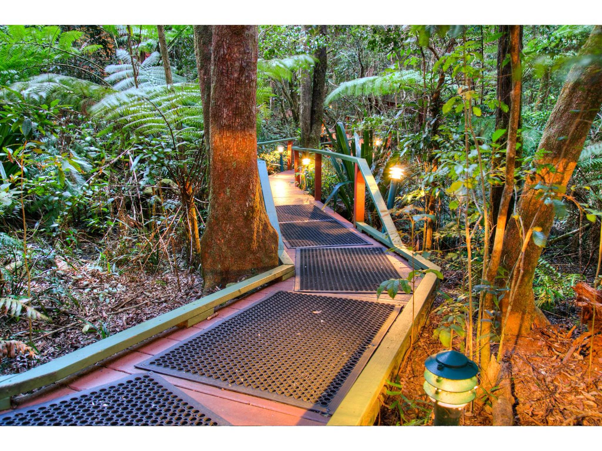 The Mouses House Rainforest Retreat