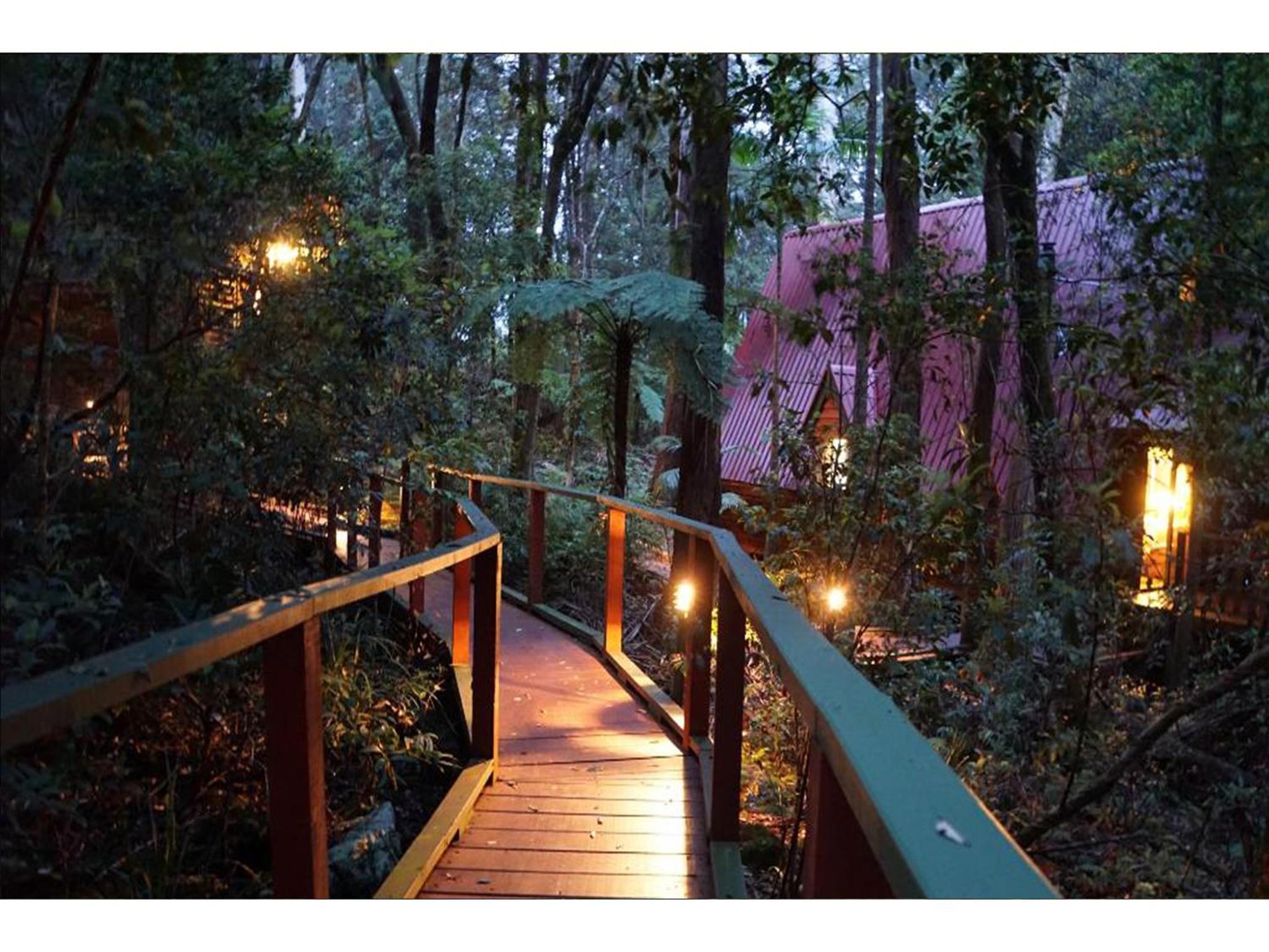 The Mouses House Rainforest Retreat