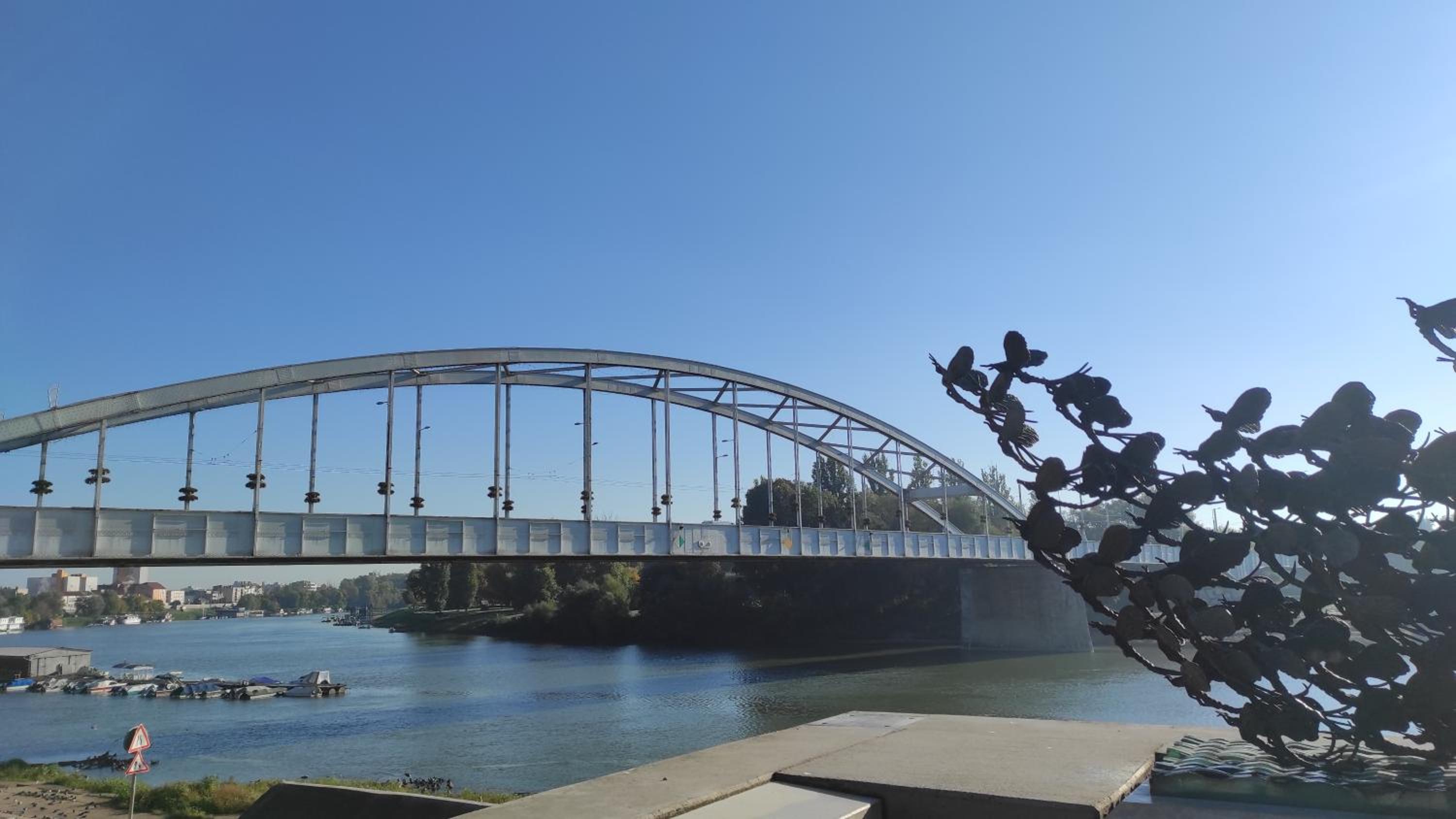 Photo 41