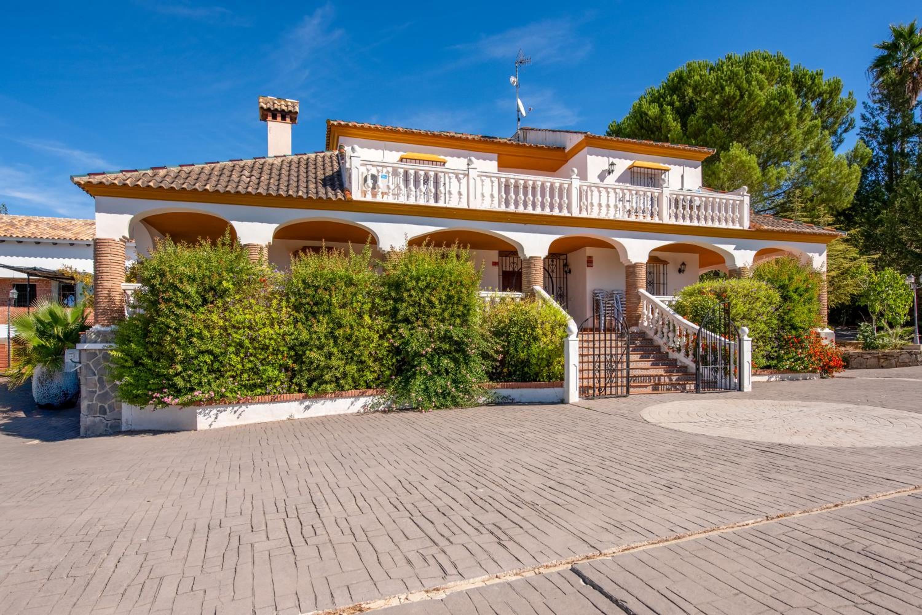 Villa Minerva