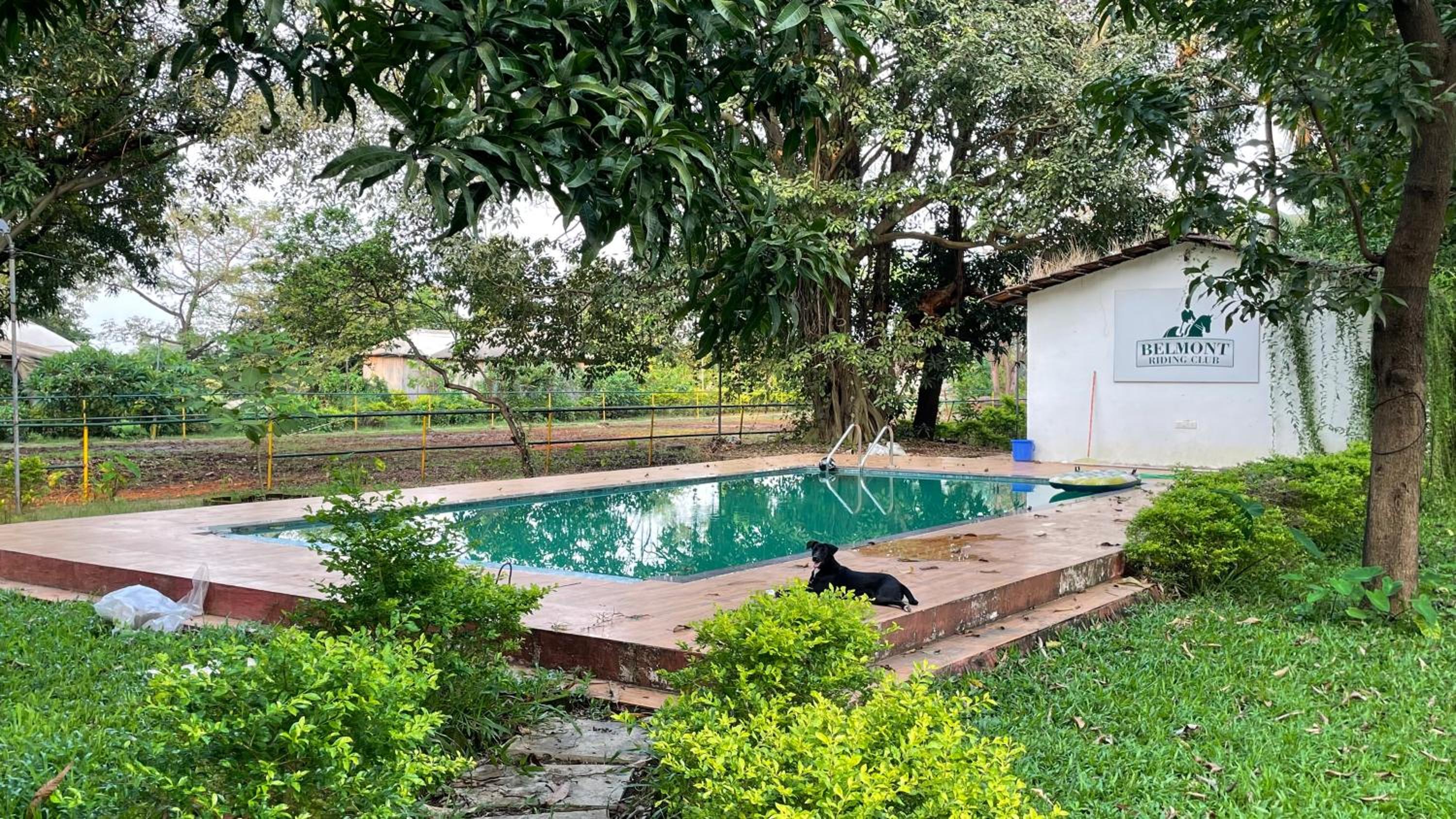 Belmont Pure Veg Farmstay and Horse Riding Club view 5