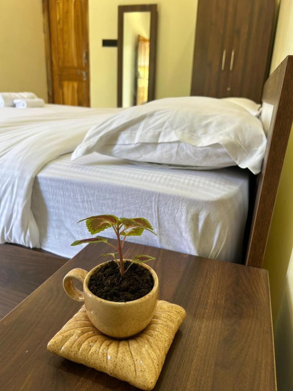 Mowgli Inn