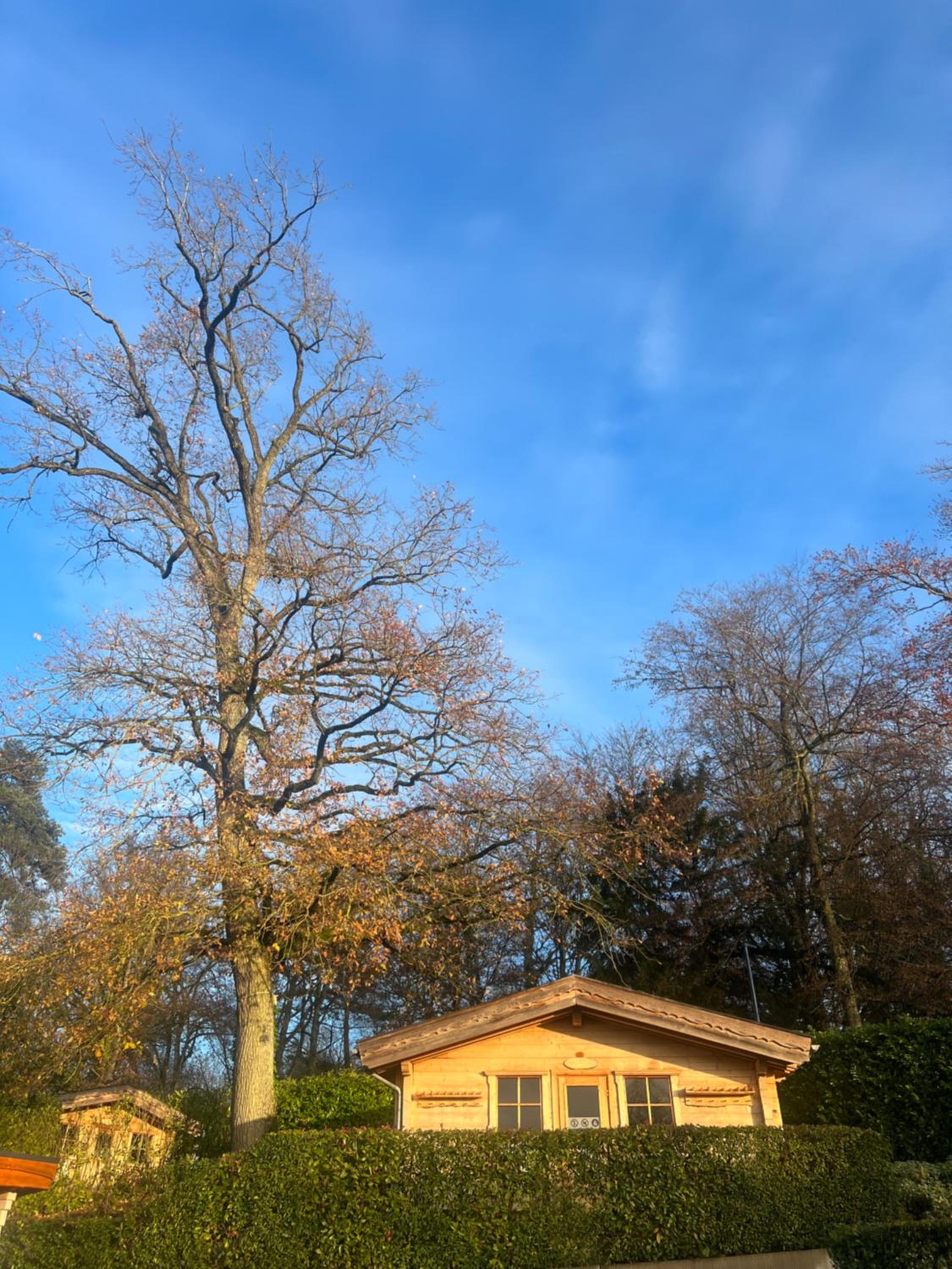 Mondorf Parc Hotel & Spa