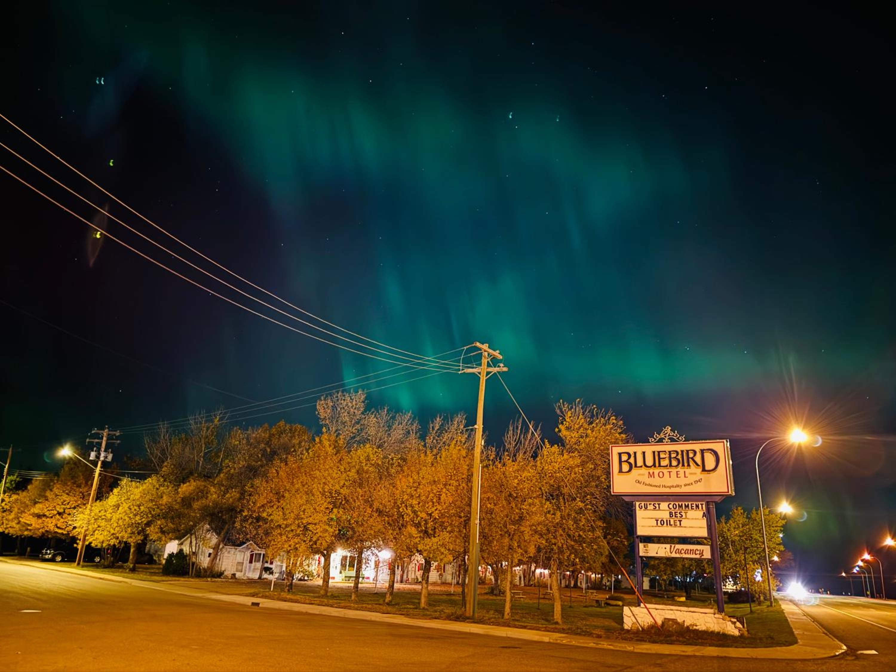Bluebird Motel