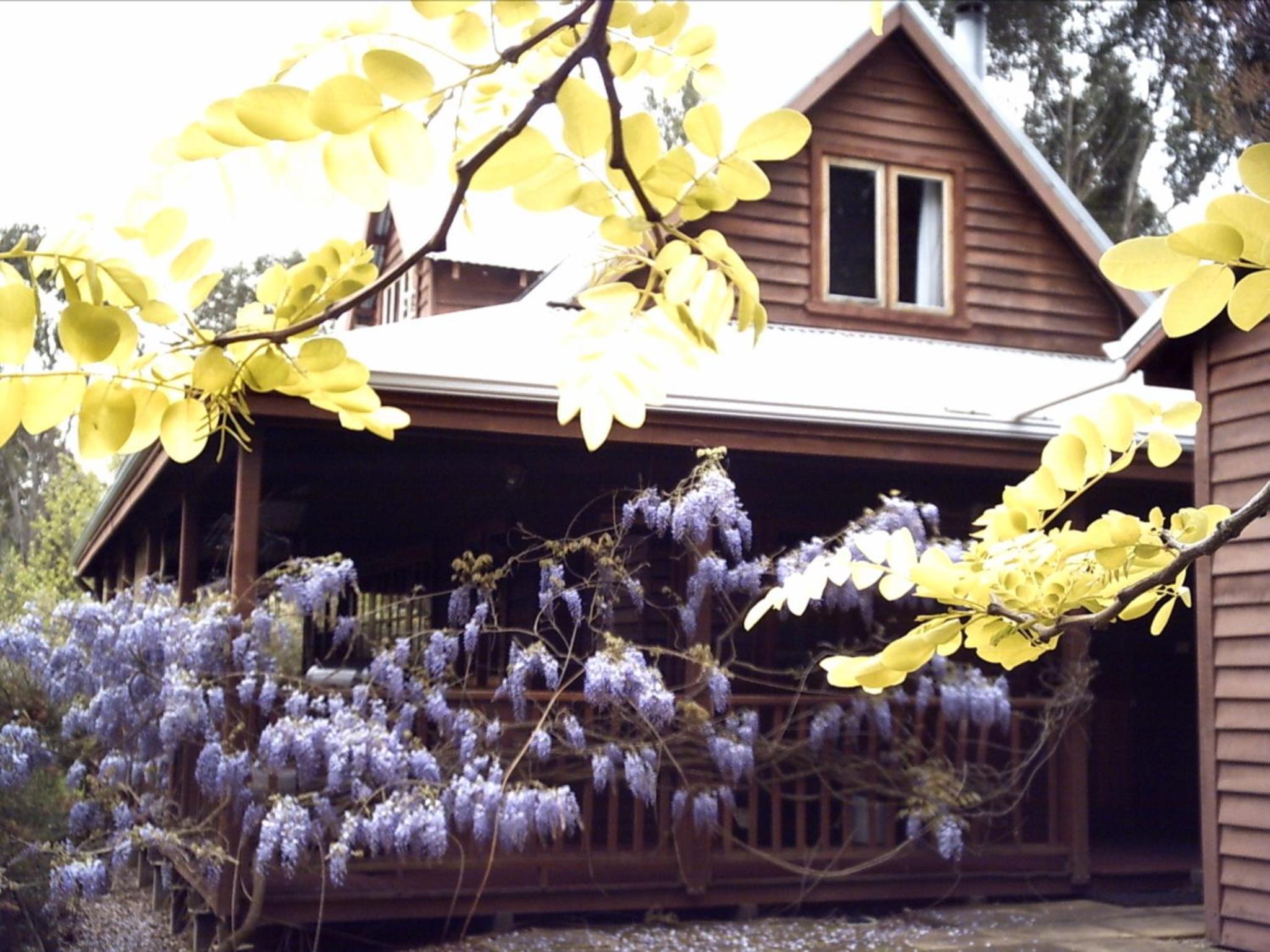 Duffys Cottage