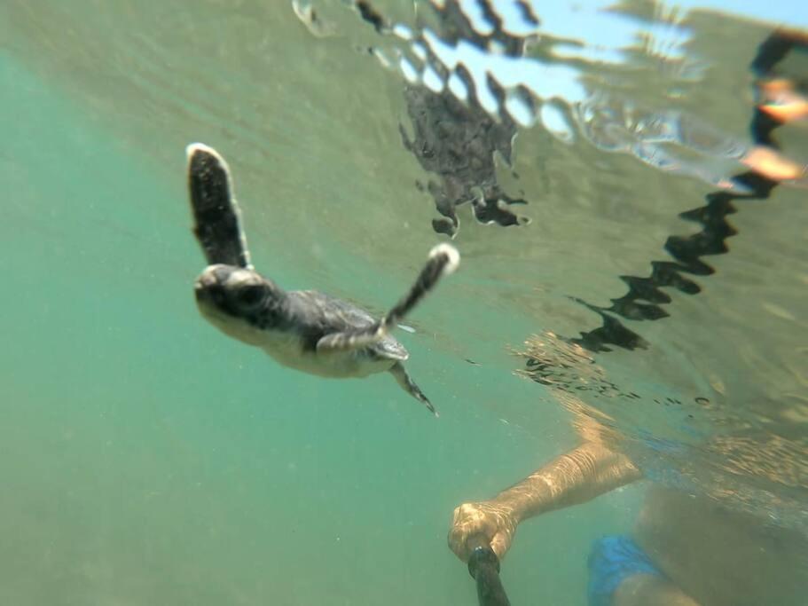 Casa Playa Tortugas