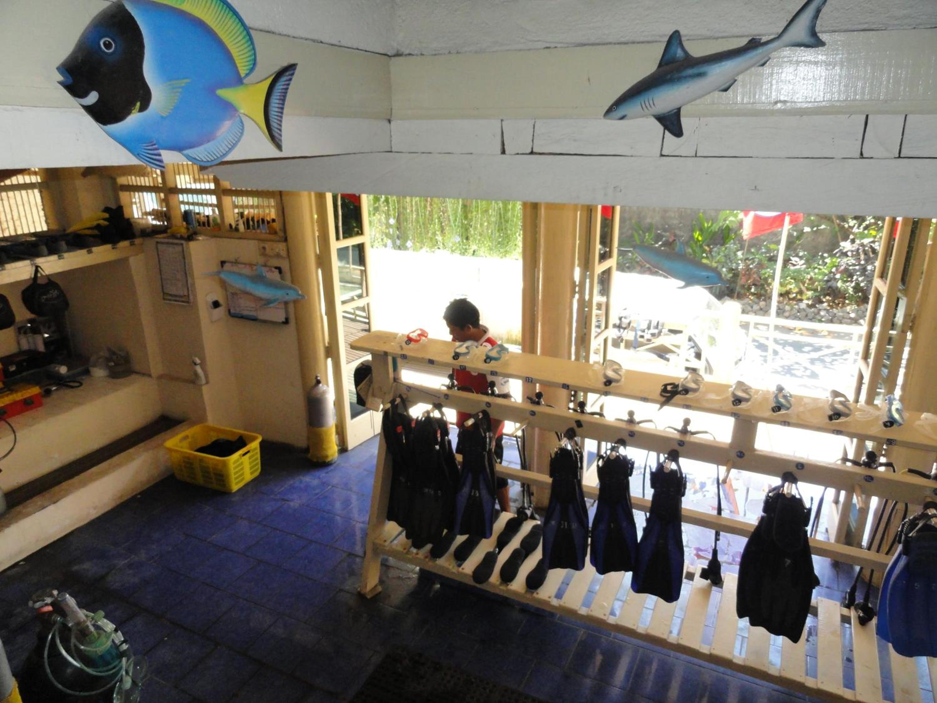 activities & amenities