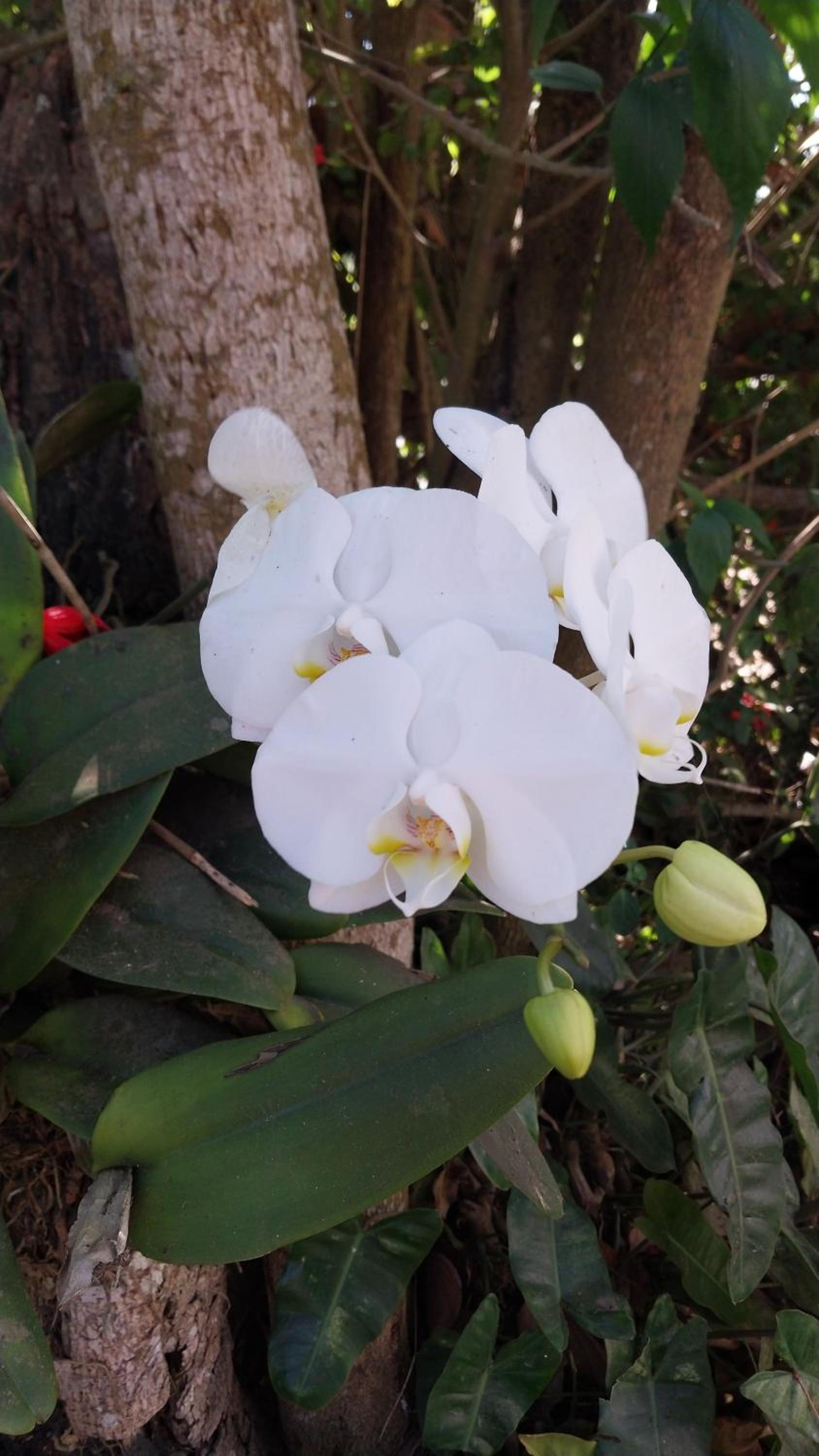Casa campo e praia