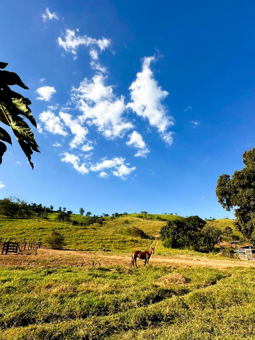 Casinha - Fazenda Santa Thereza