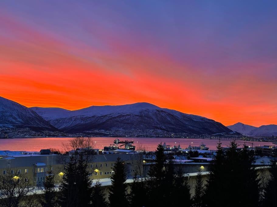 Arctic retreat - Lovely apartment next to amazing nature view 5