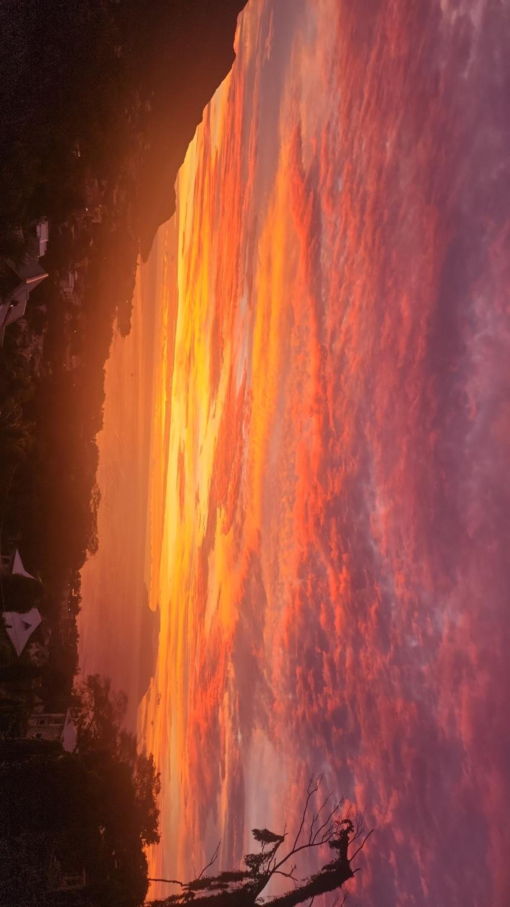 Wild Vanilla Apartment photo 2