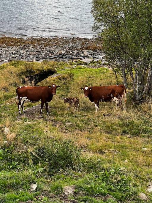 Trønderstua
