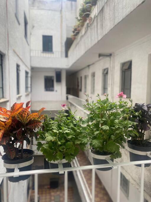 Condesa Roma N, Mexican Style photo 5