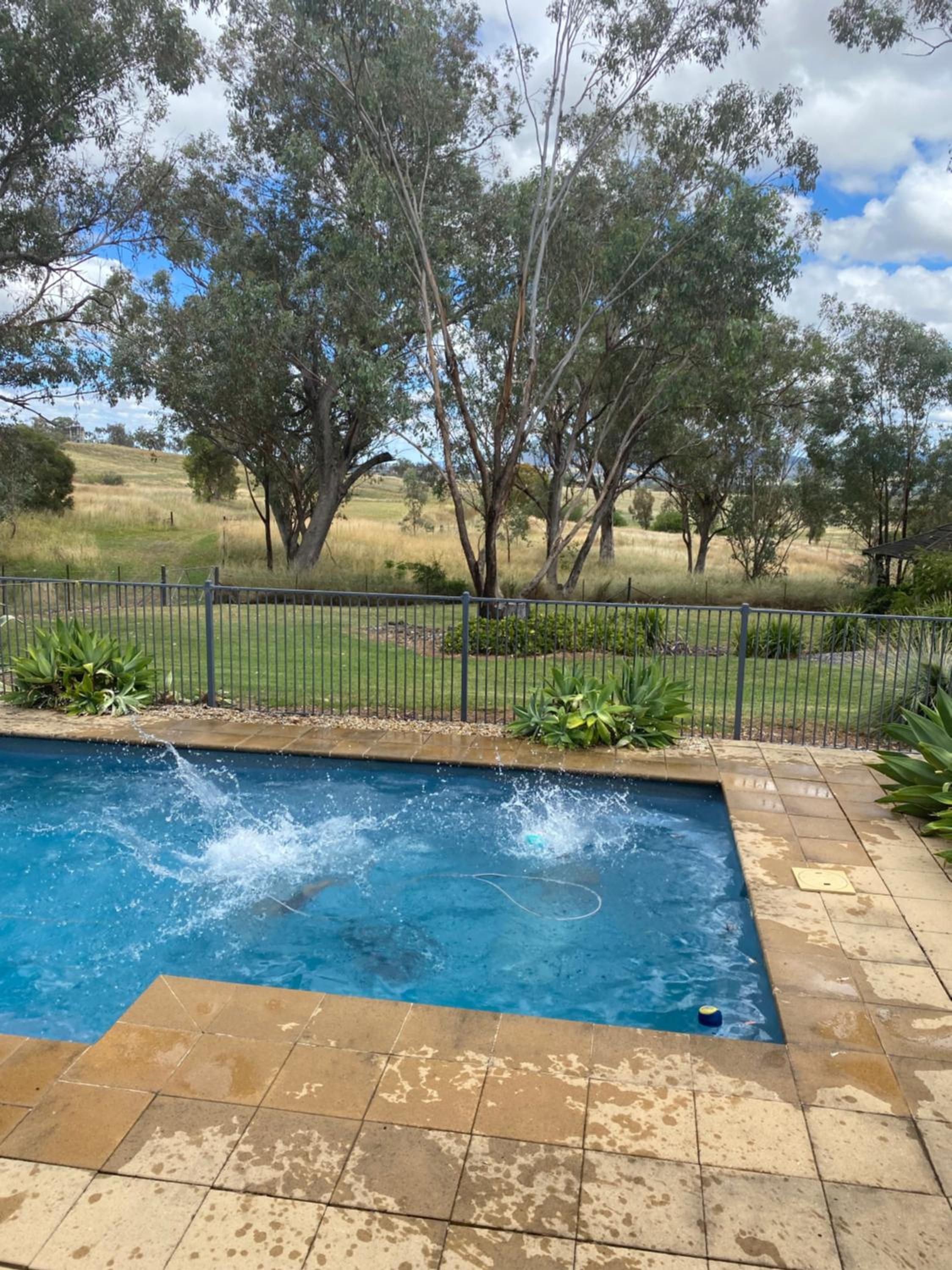 Tamworth Country Escape with a beautiful swimming pool!