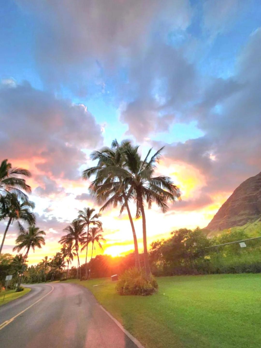 Paradise Ohana Ocean View Oasis with community Pool, Spa, Gym and Rec Area with PingPong, Air Hockey and Foosball