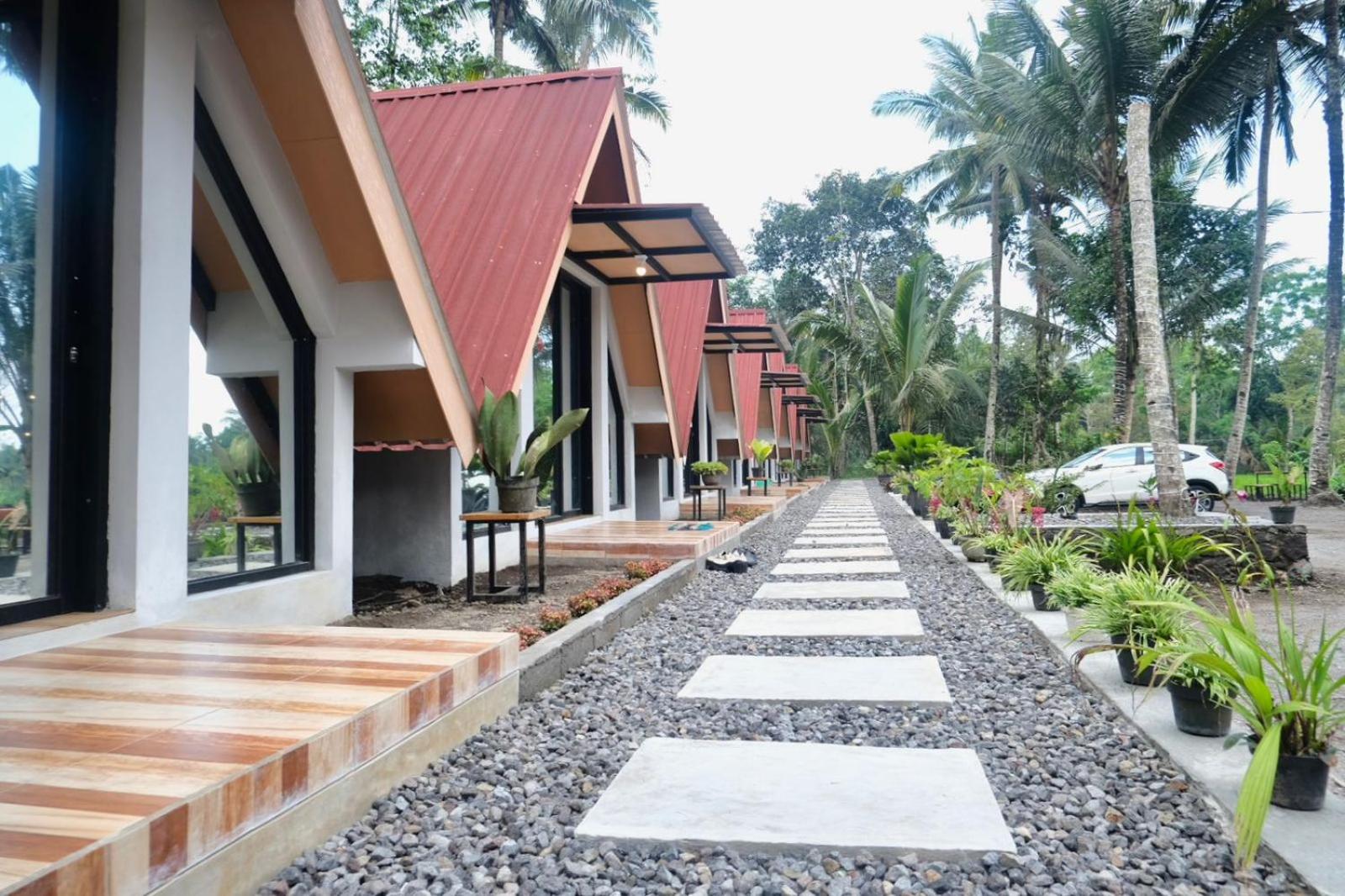 Aurora Living Merapi Jogja view 2