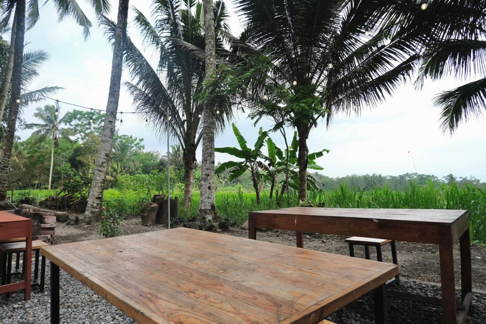 Aurora Living Merapi Jogja view 5