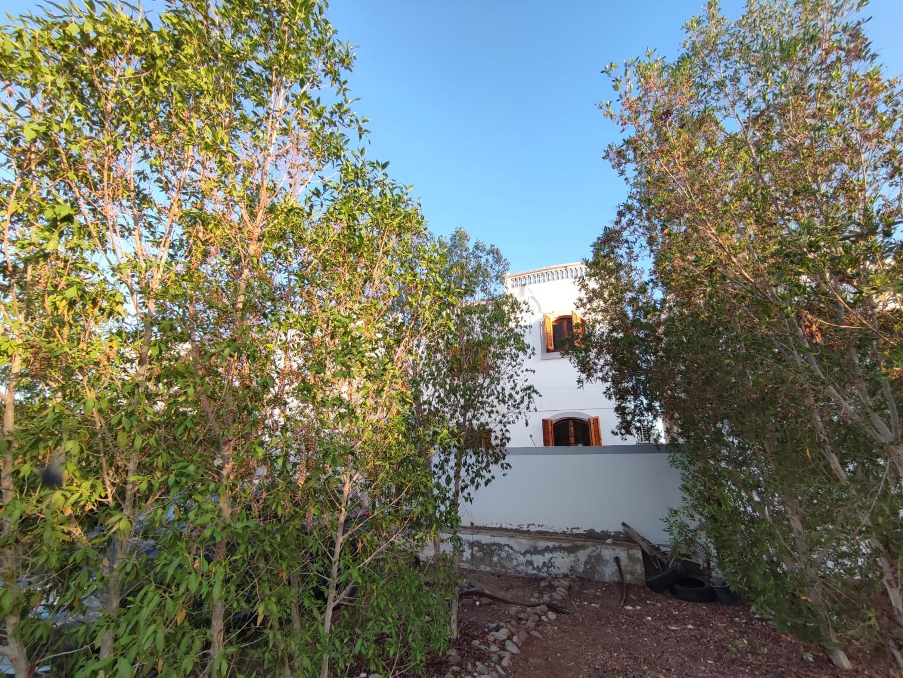 Dahab Blues loft