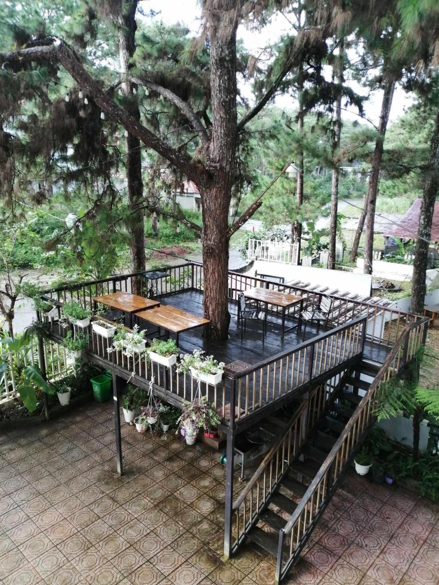 Chủ Nhật Homestay Măng Đen