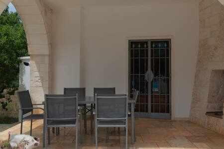 Photo 7