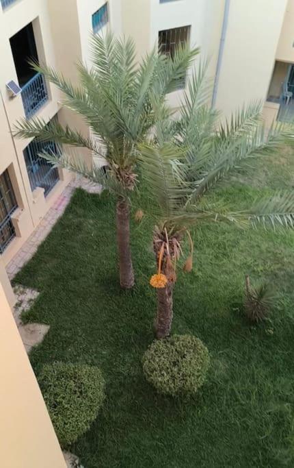 Appartement Yasmine Hammamet