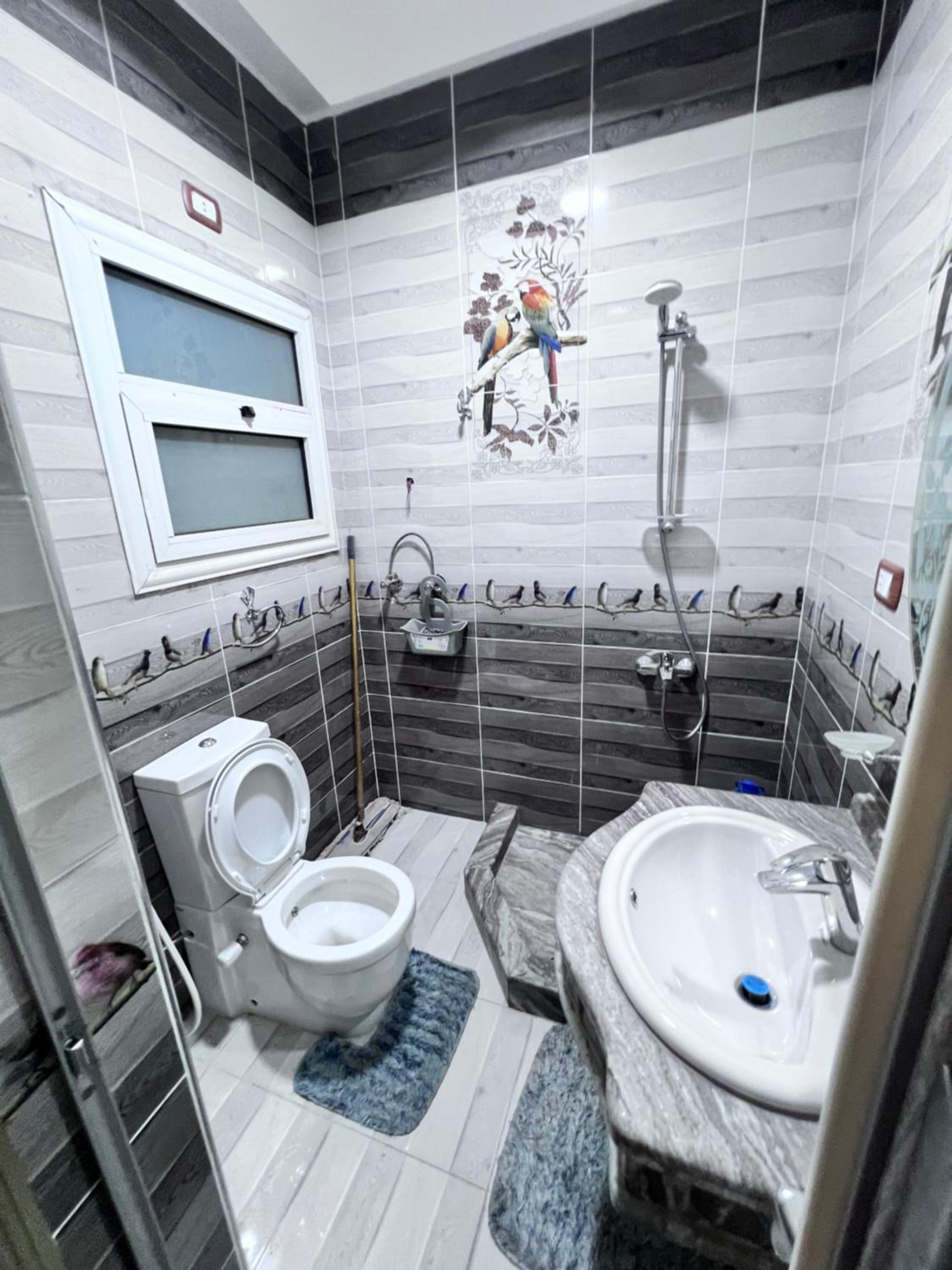 Villa Contenental residense El sheikh Zayed Beverly Hills