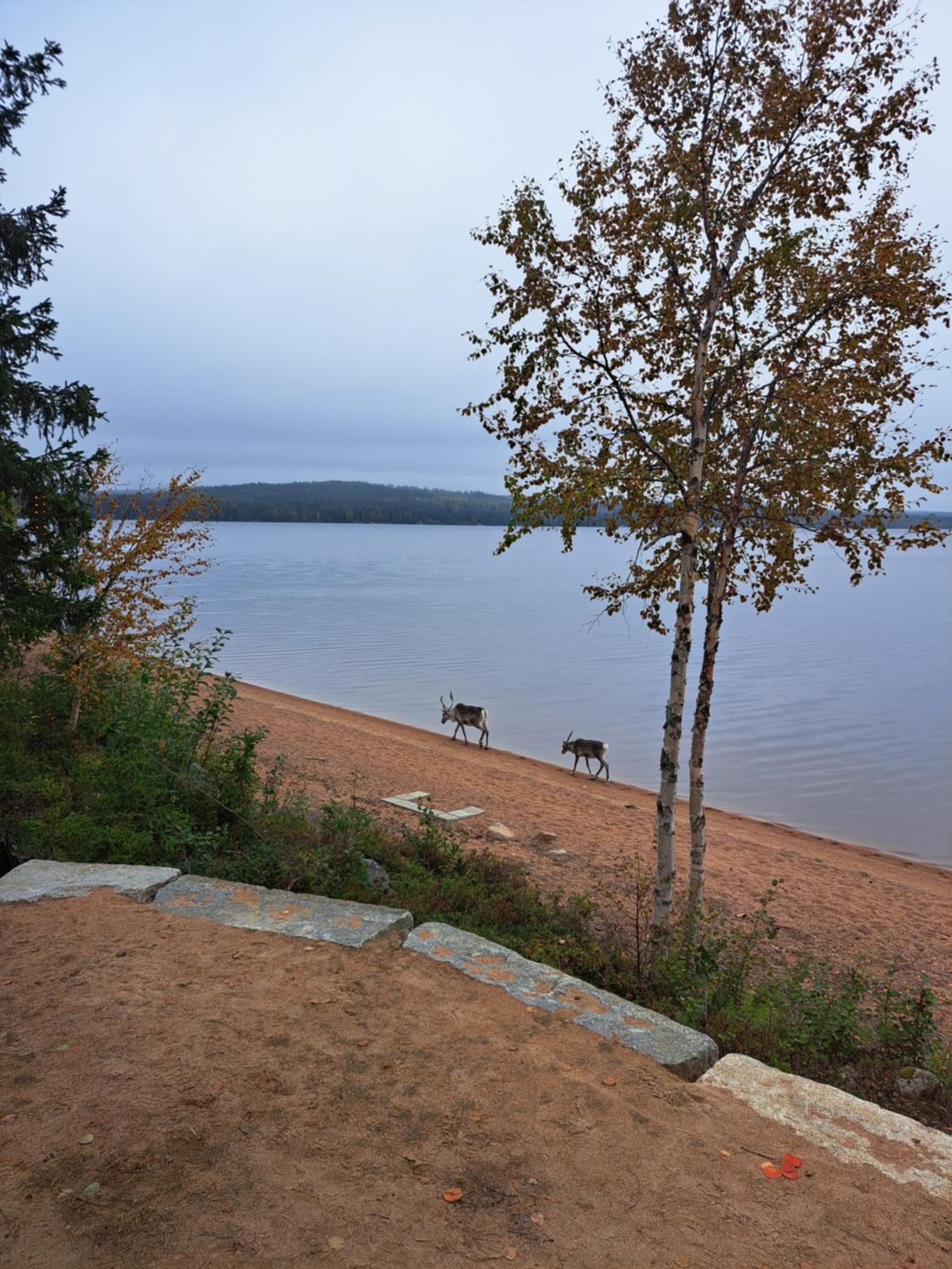 Arctic Circle Beach House
