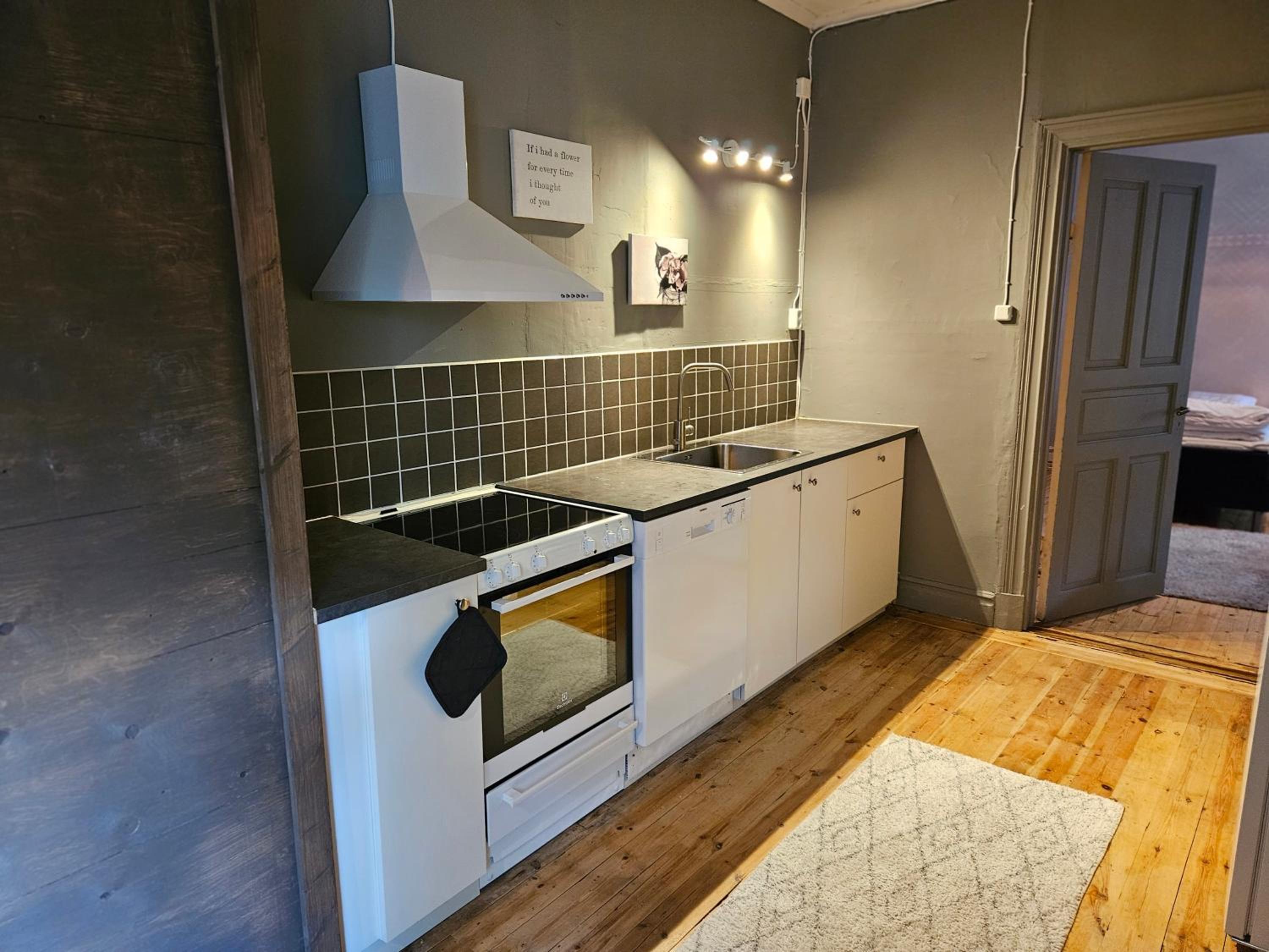 Living Ludvika
