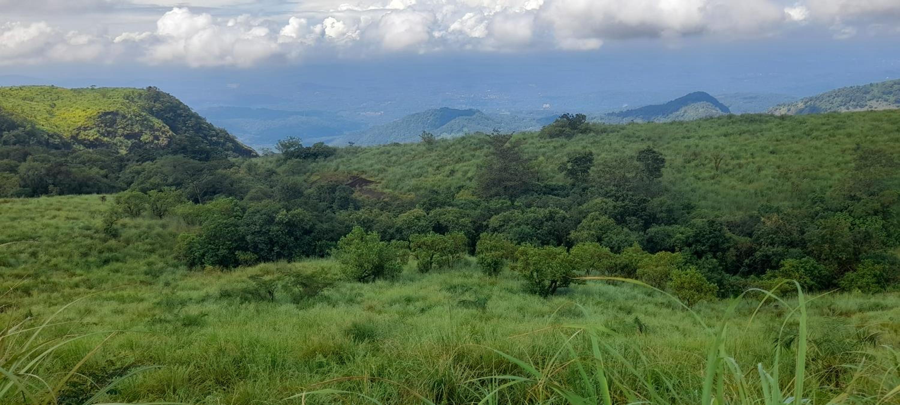 Hill garden homestay,Vagamon view 3