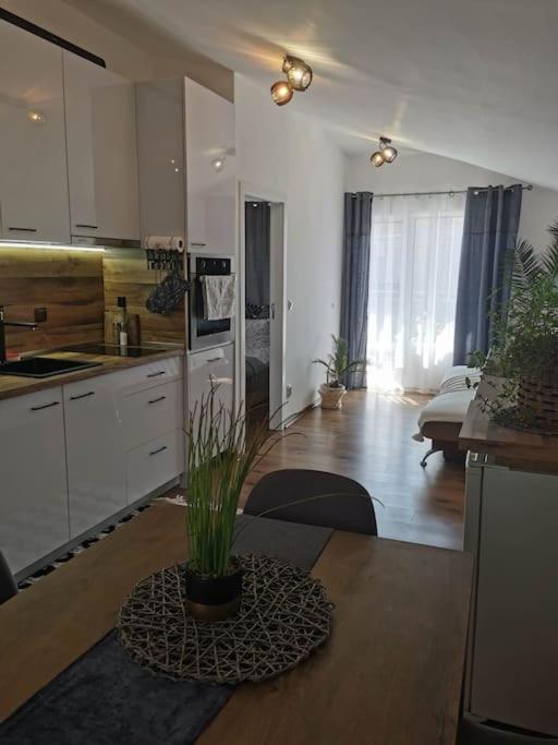 Charming City Apartment SIYANA - Self Check-in