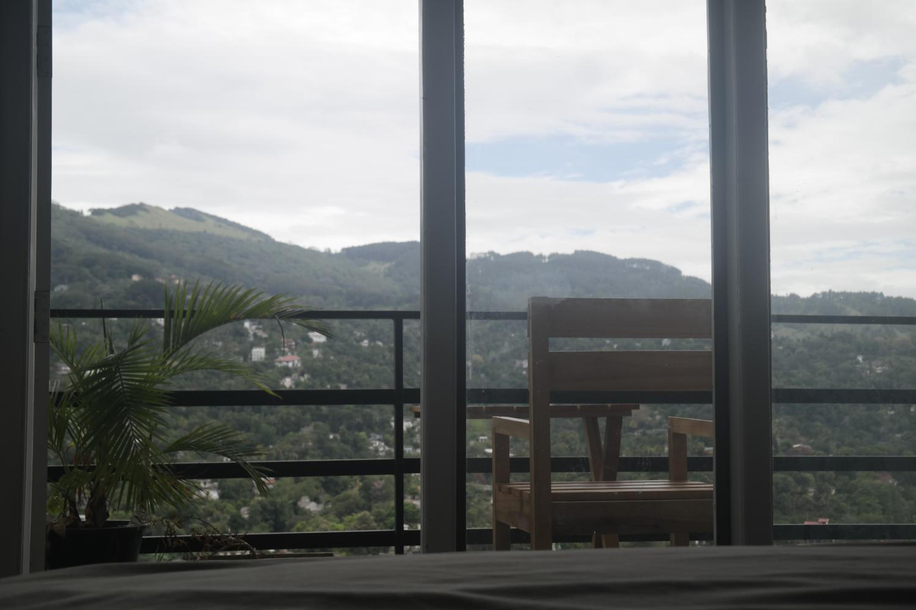 Mount view hotel and home stay view 4
