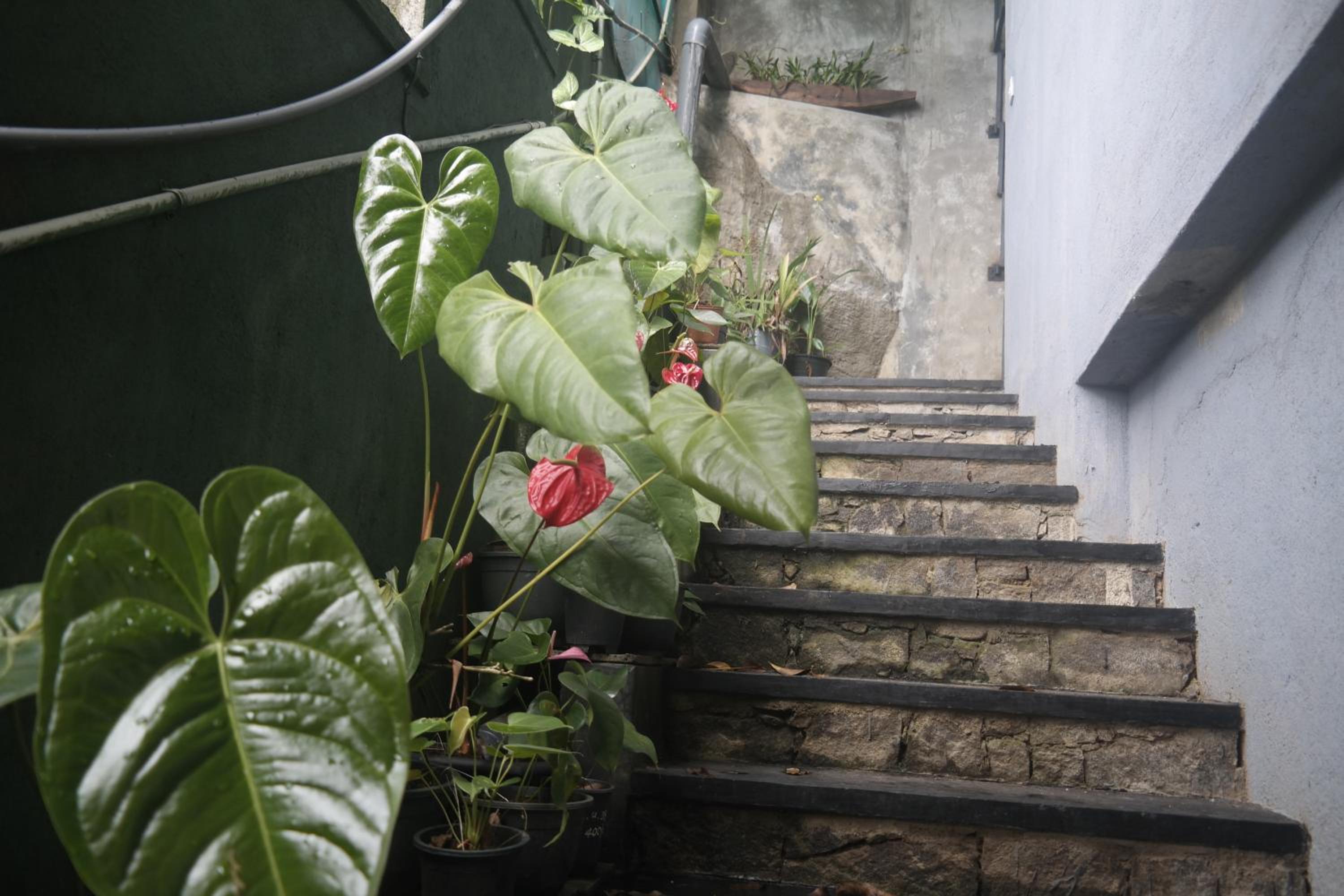 Mount view hotel and home stay view 3