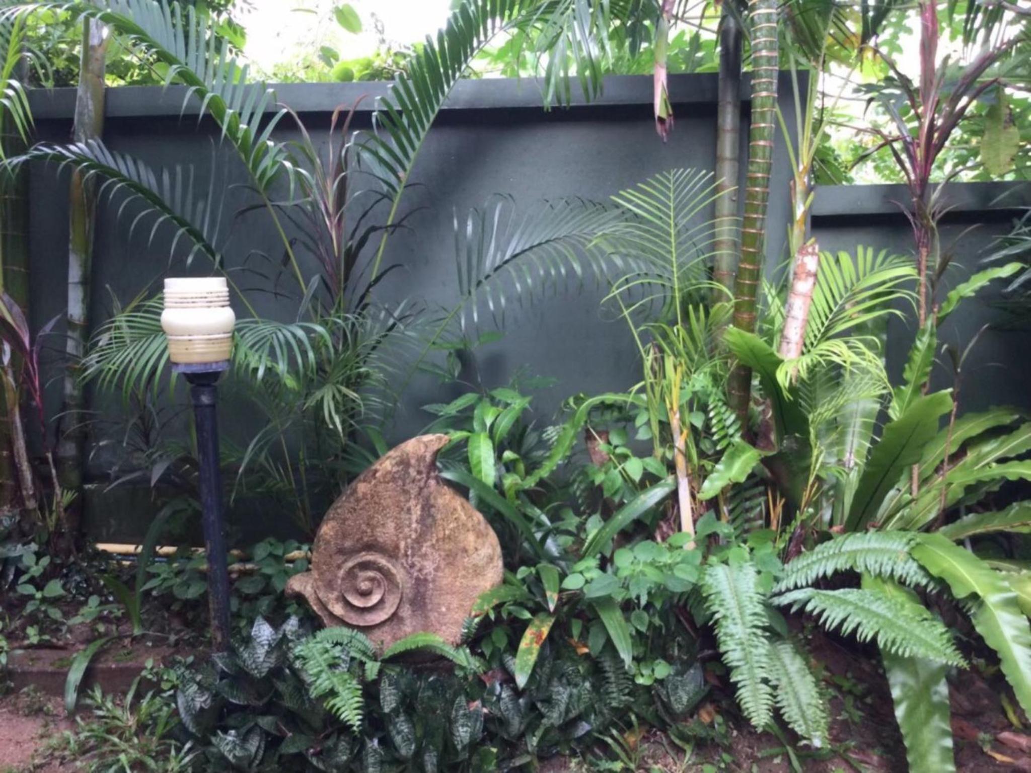 Ananas Samui Hostel