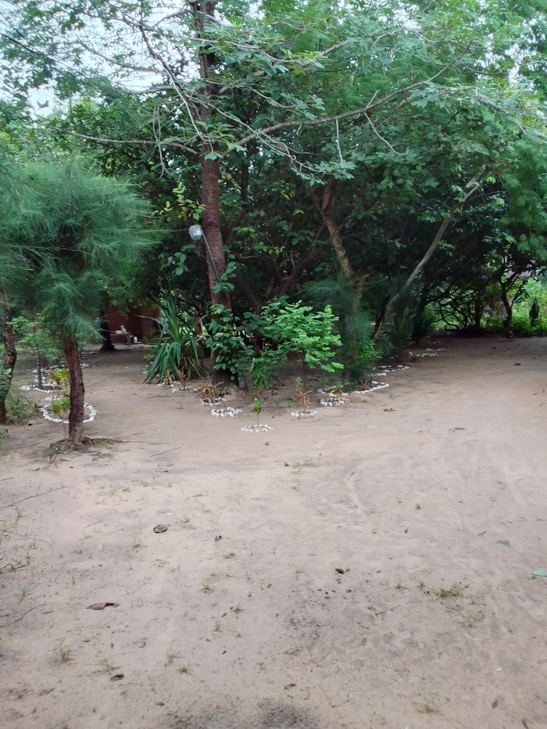 Little Baobab view 5