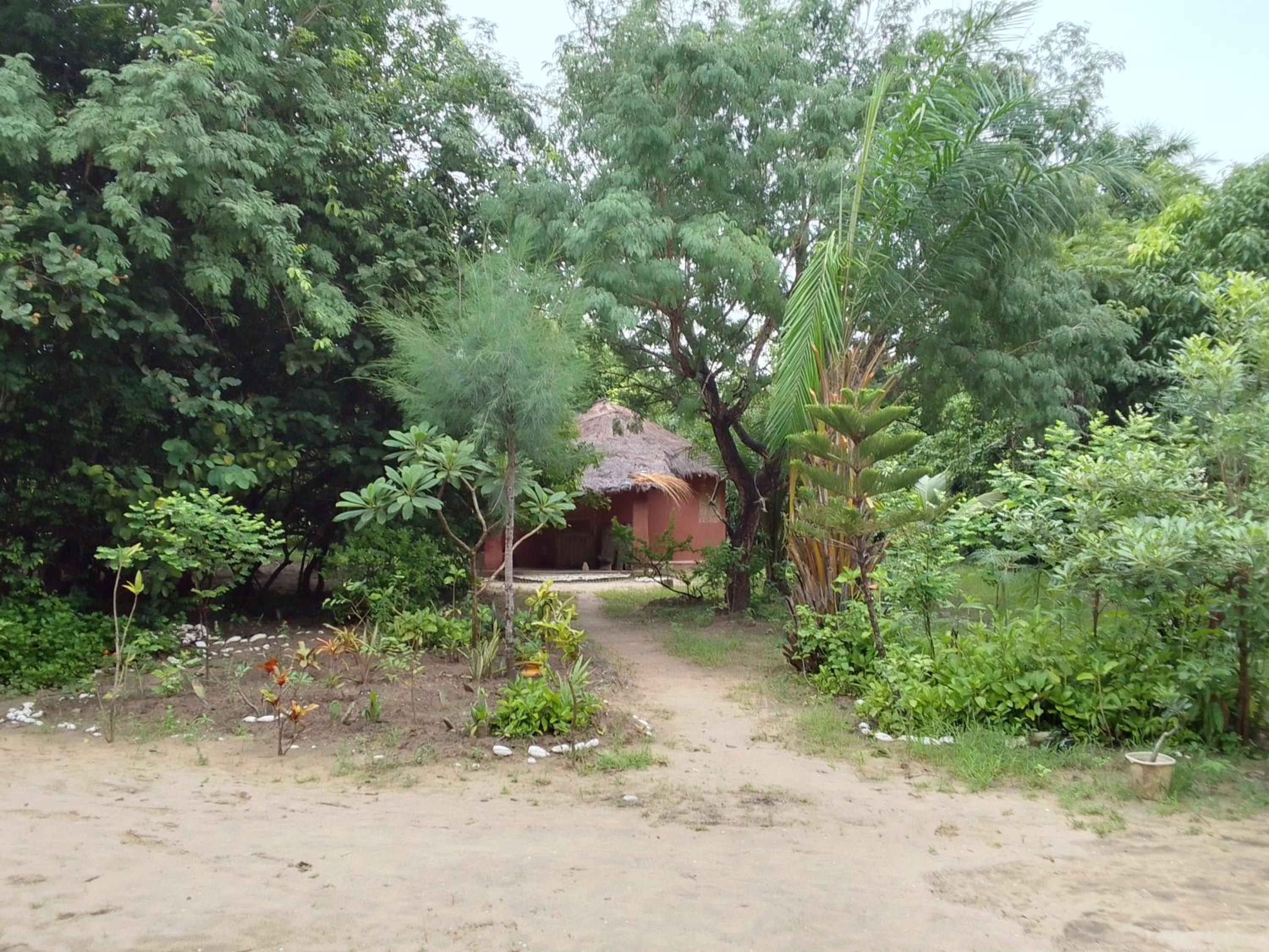 Little Baobab view 2