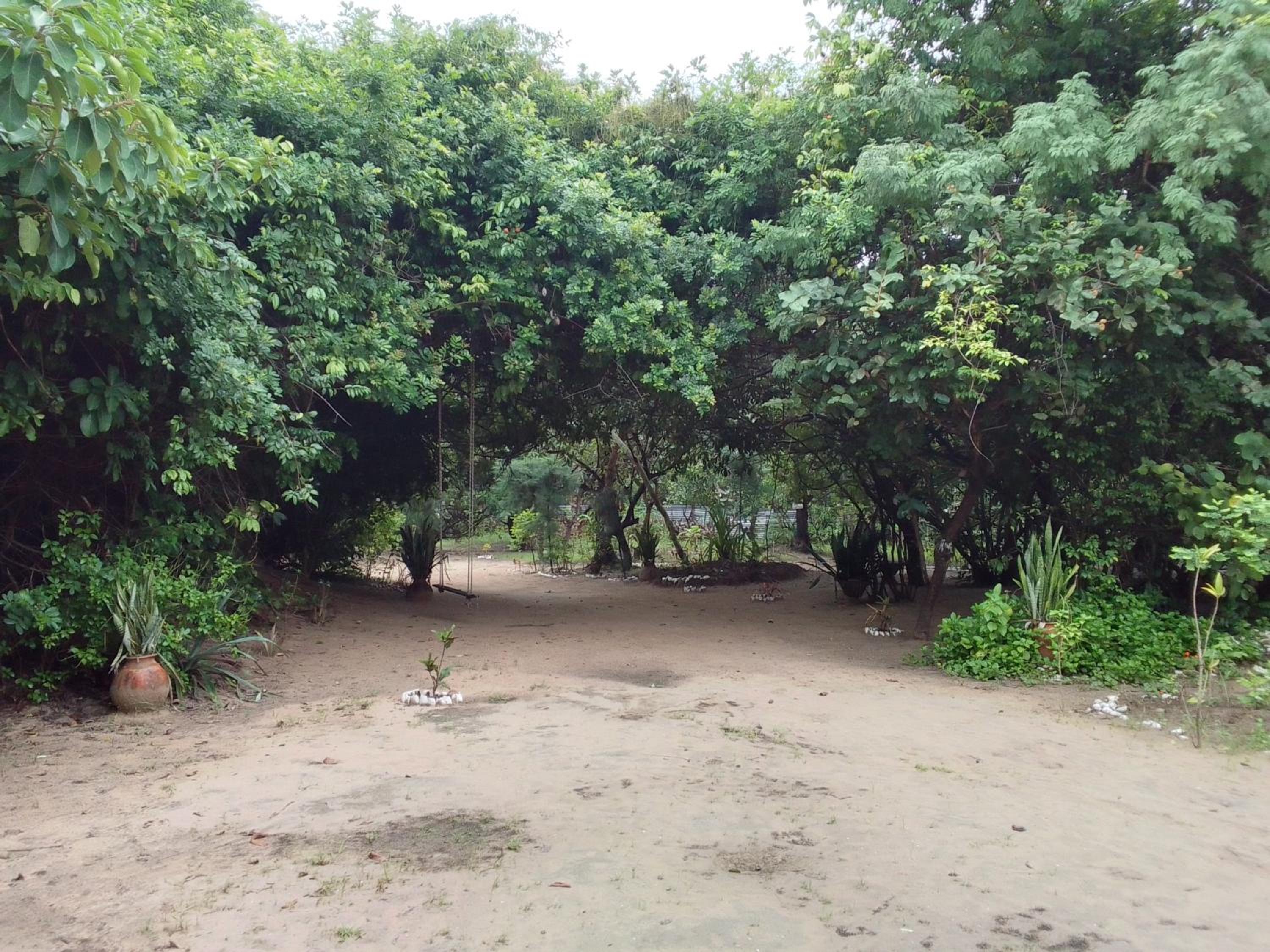Little Baobab view 3