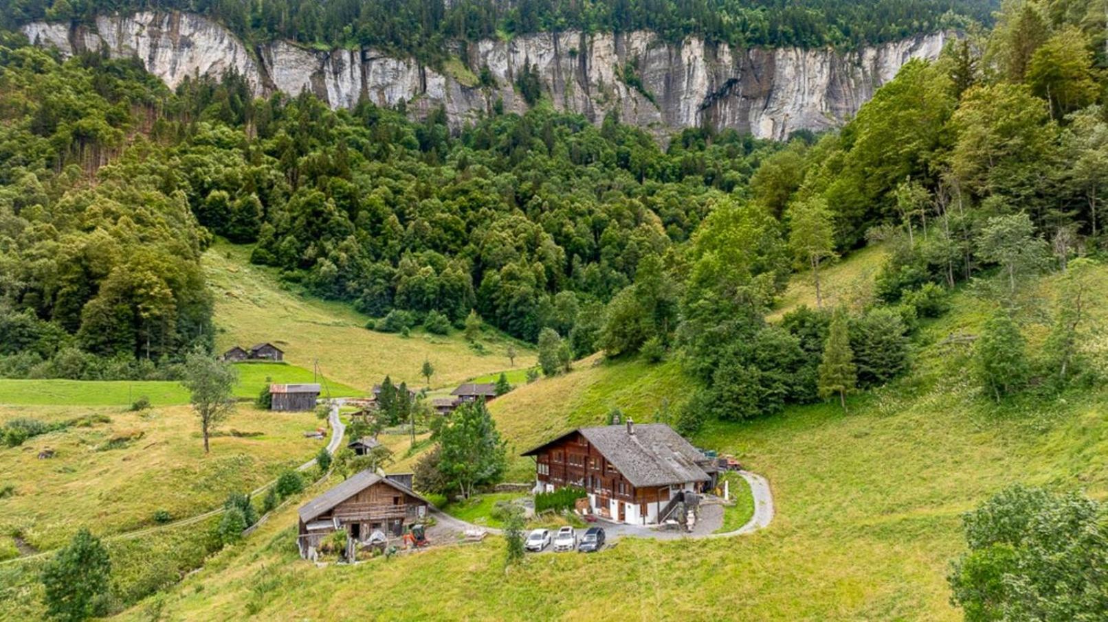 Cozy Studio With Terrace Bbq Mountain View