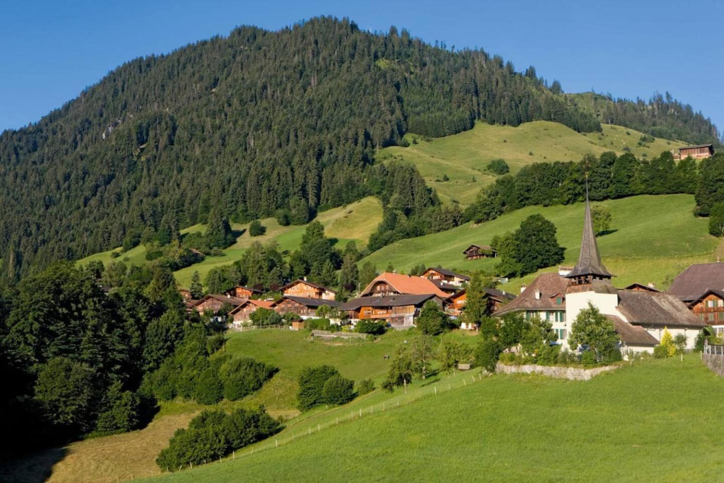 Chalet In The Nature Park With Fireplace Bbq