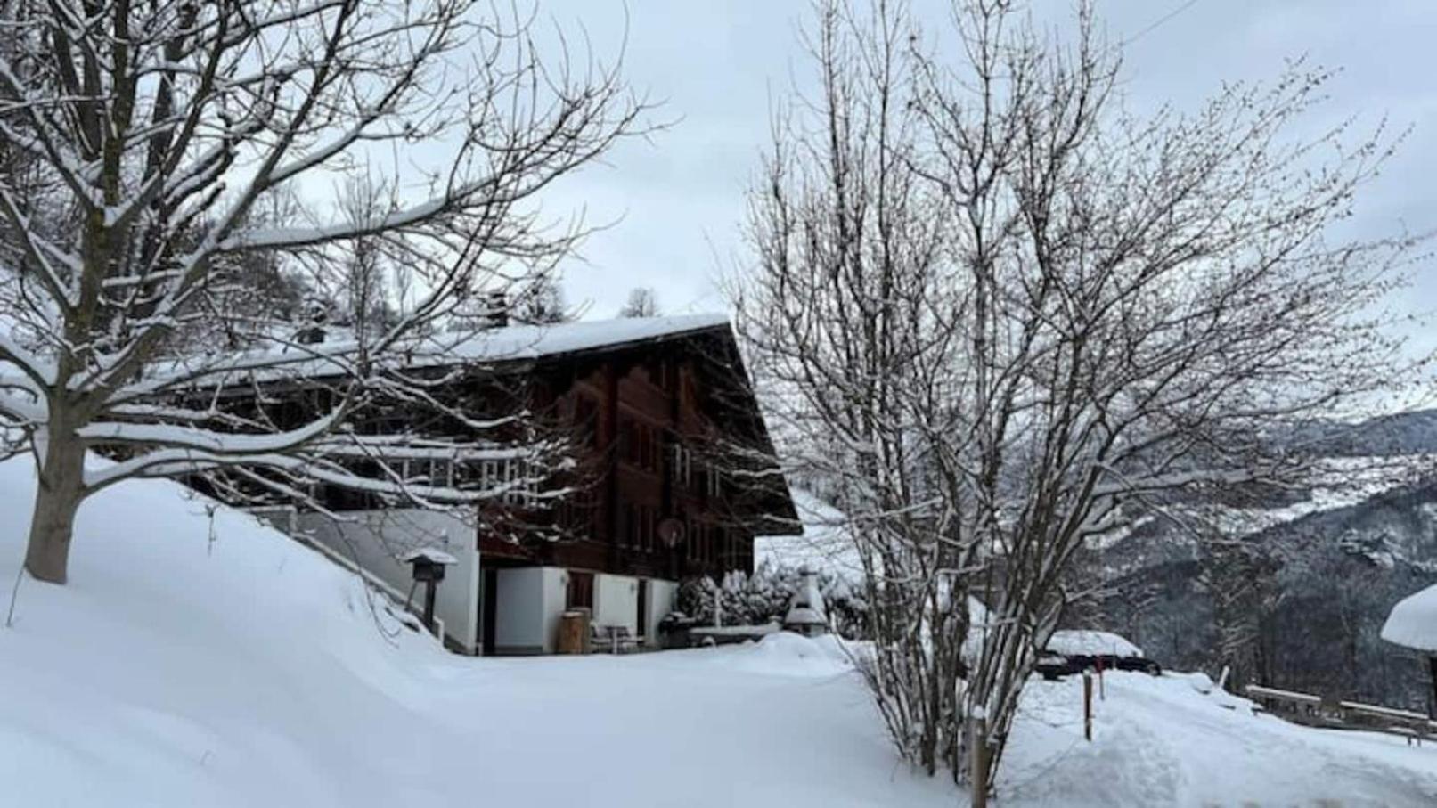 Cozy Studio With Terrace Bbq Mountain View