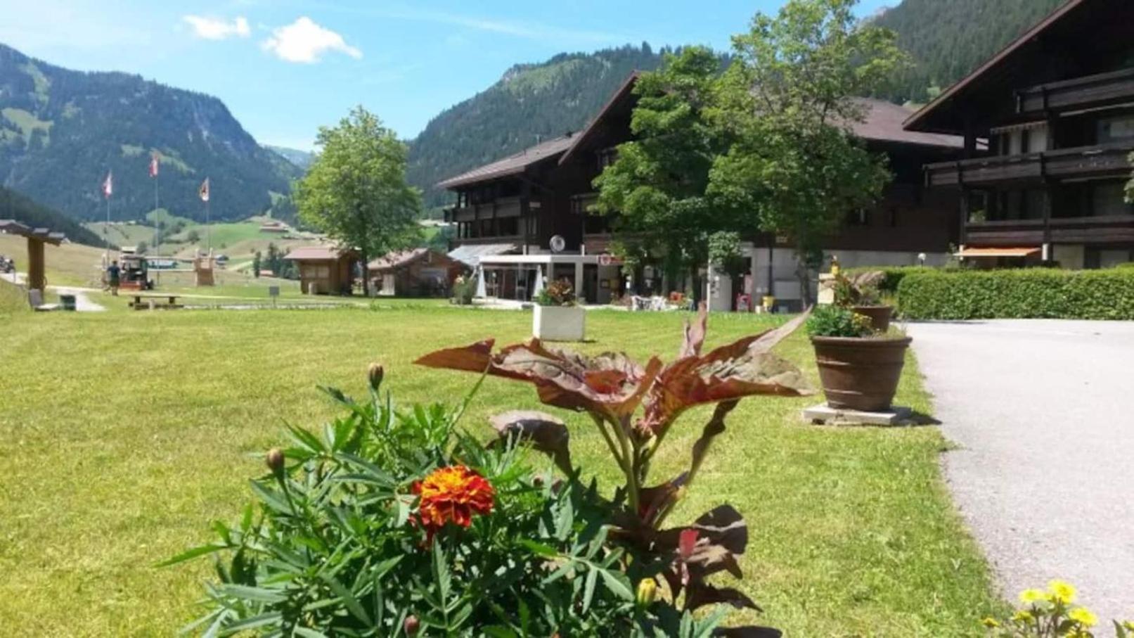 Studio With Mountain View In The Vacation Center