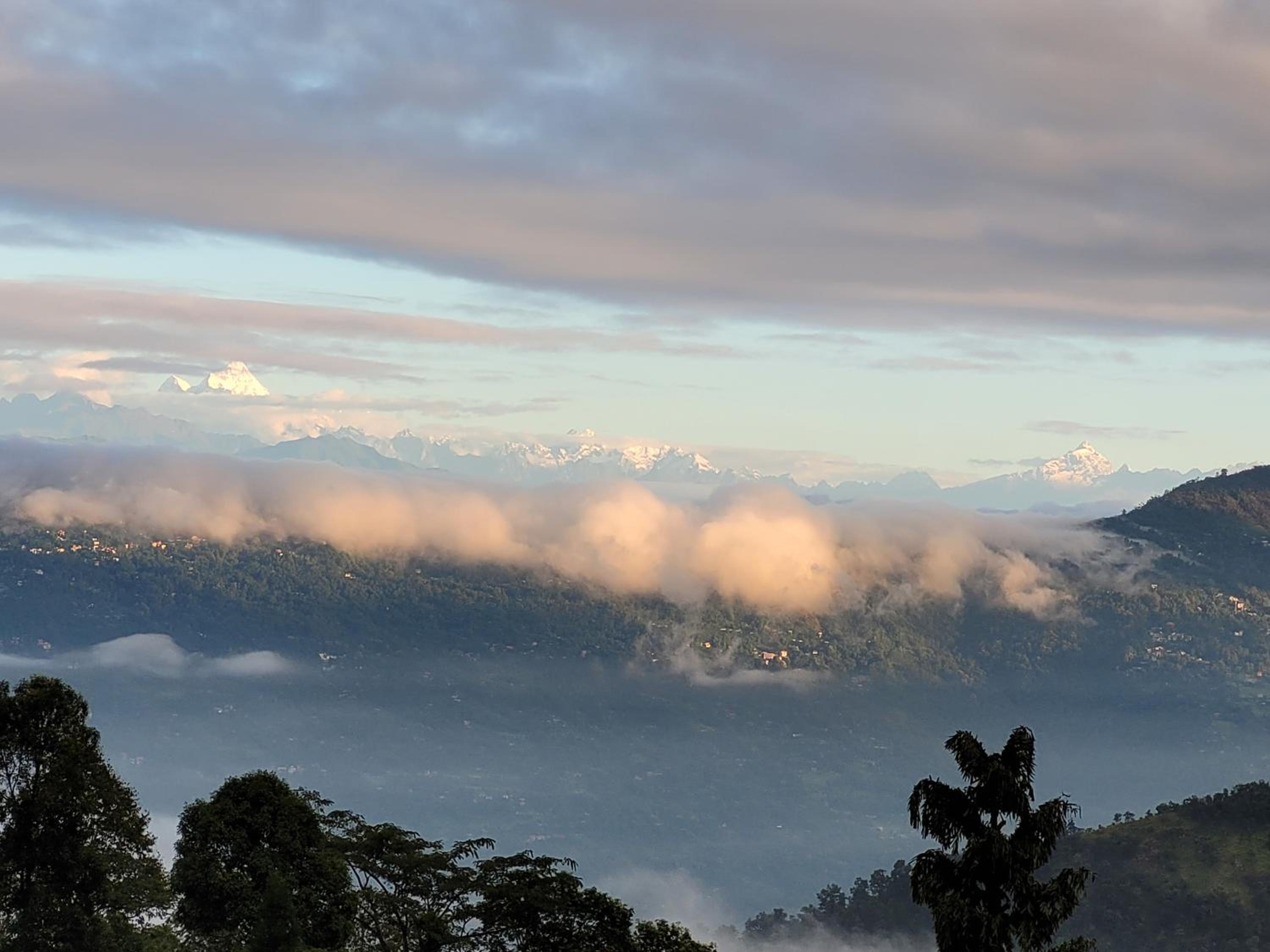 Baidartar Wanderdwell Homestay