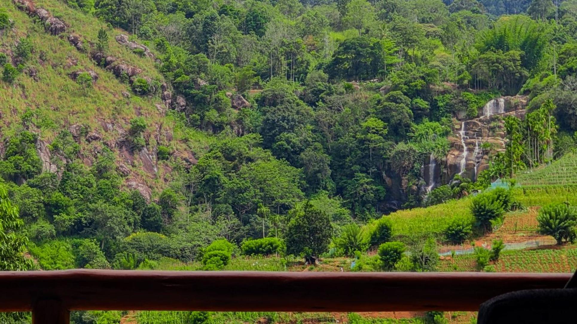 Ella Lovers View Cabins