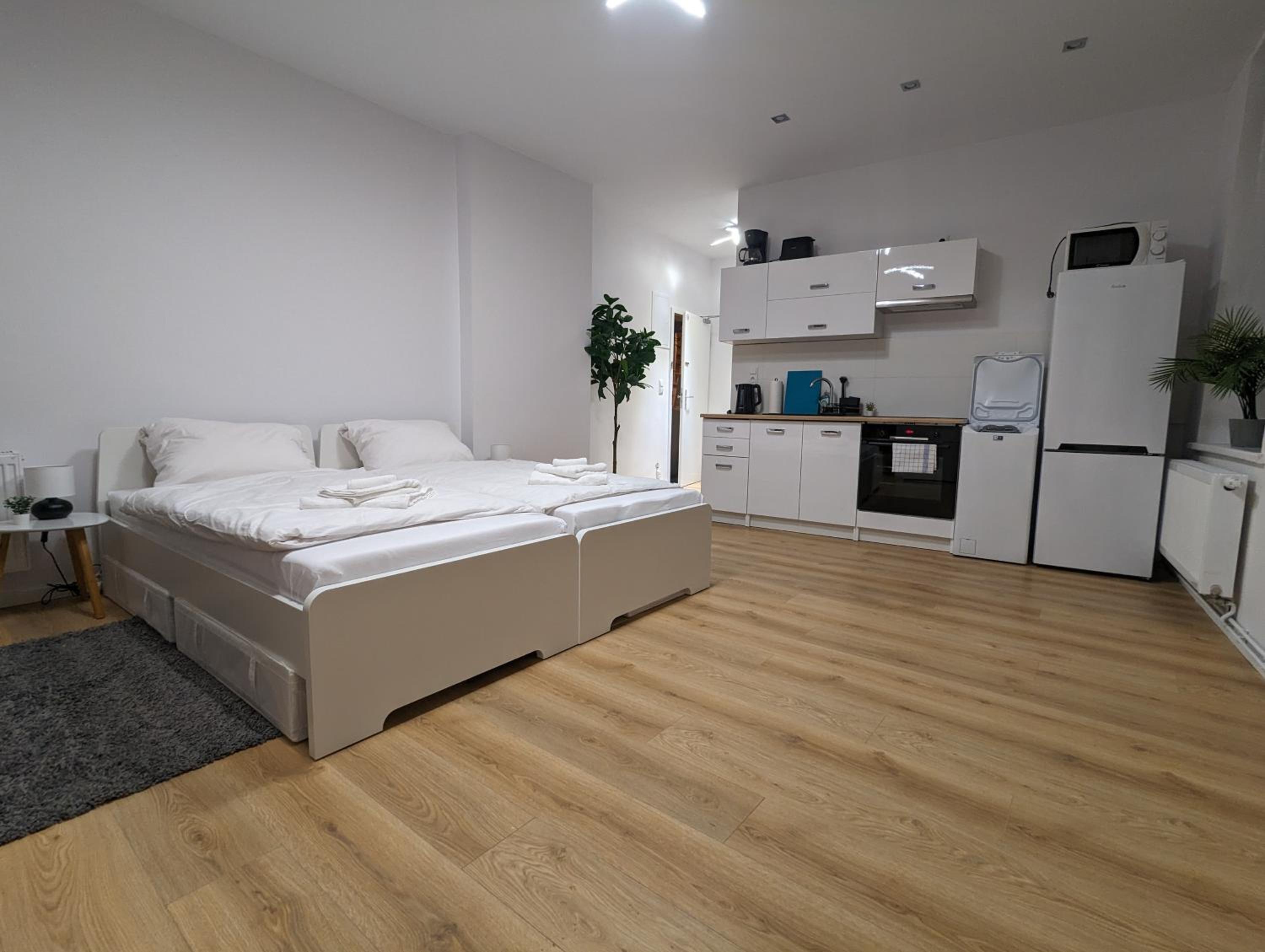 1-Zimmer-Monteurswohnung für bis zu 2 Personen view 5