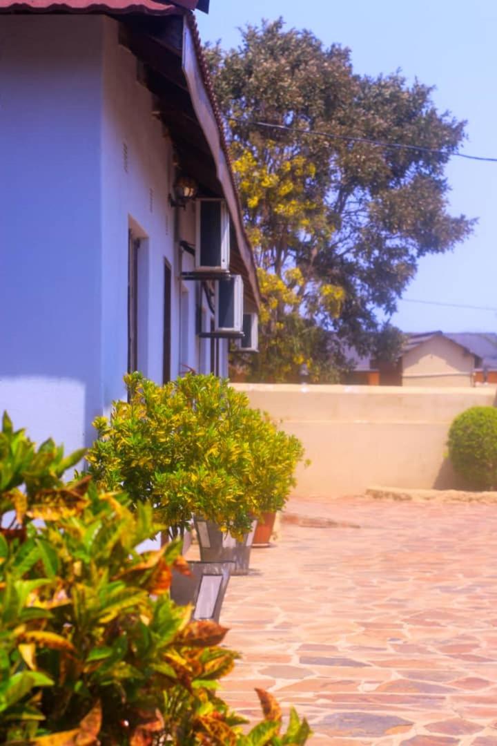 The Wild Thing Guesthouse