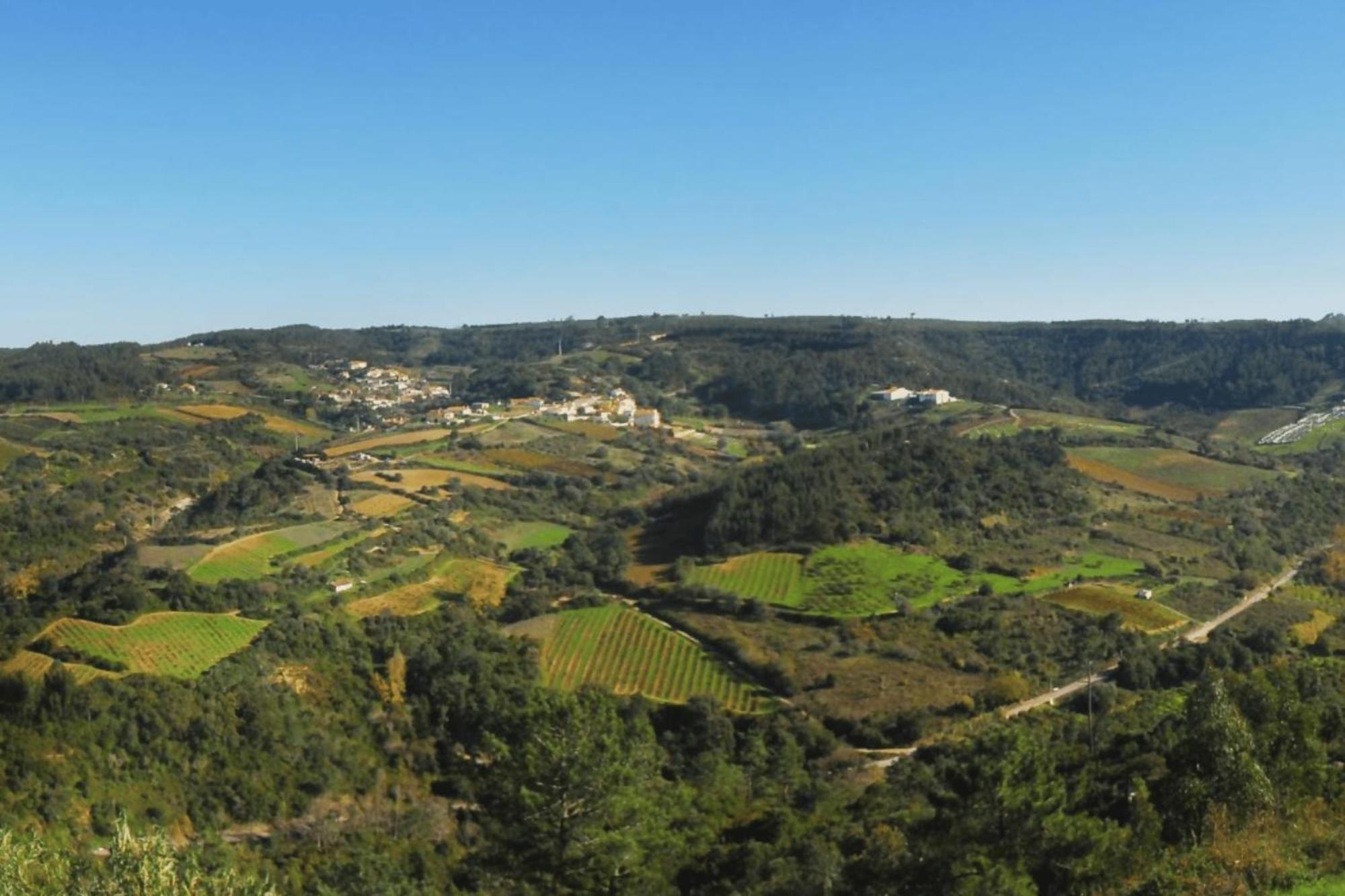 Casas da Tia Alice - Casas de campo encantadoras em Mafra view 5