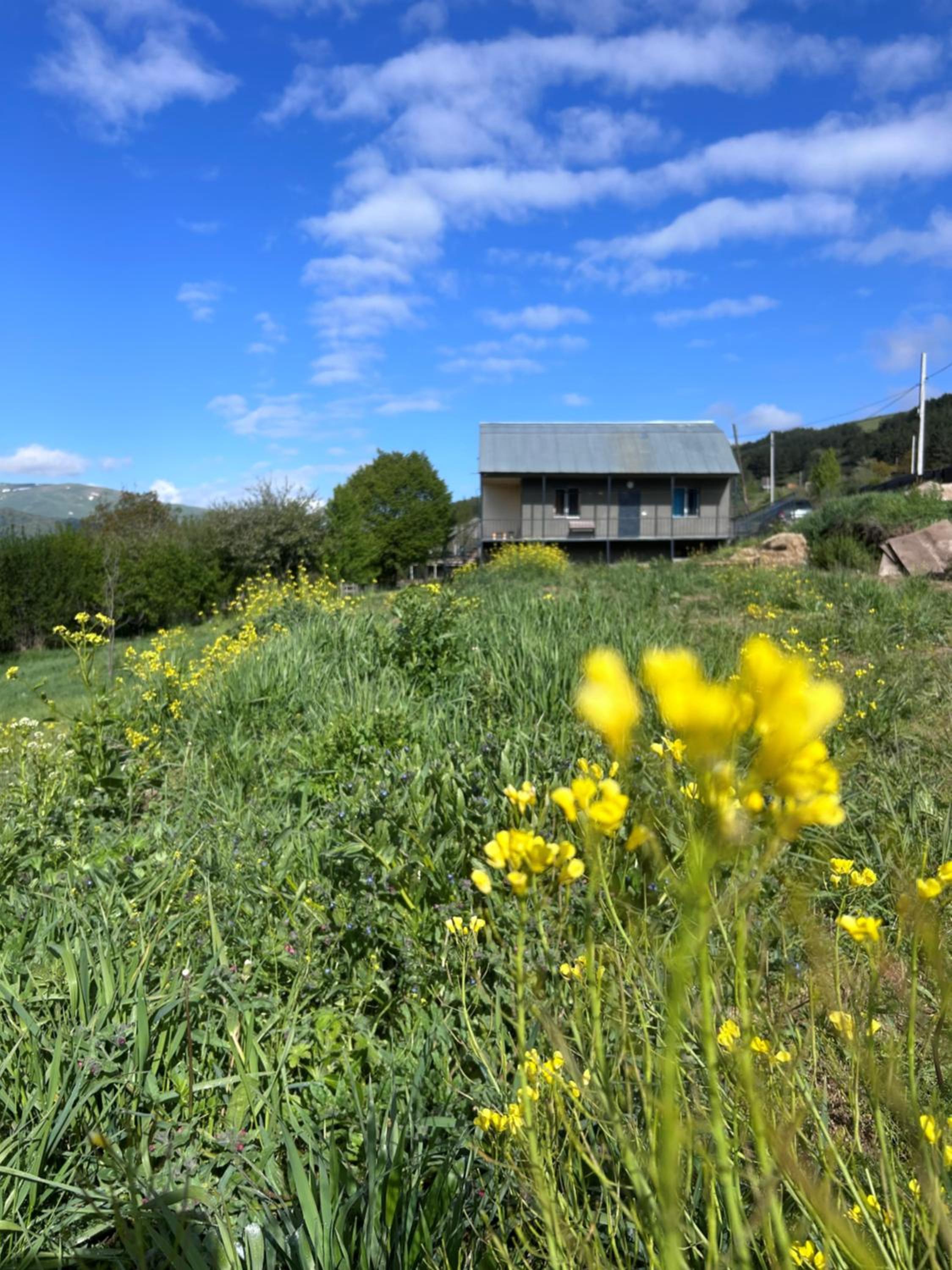 Dez Guest House with Mountain View