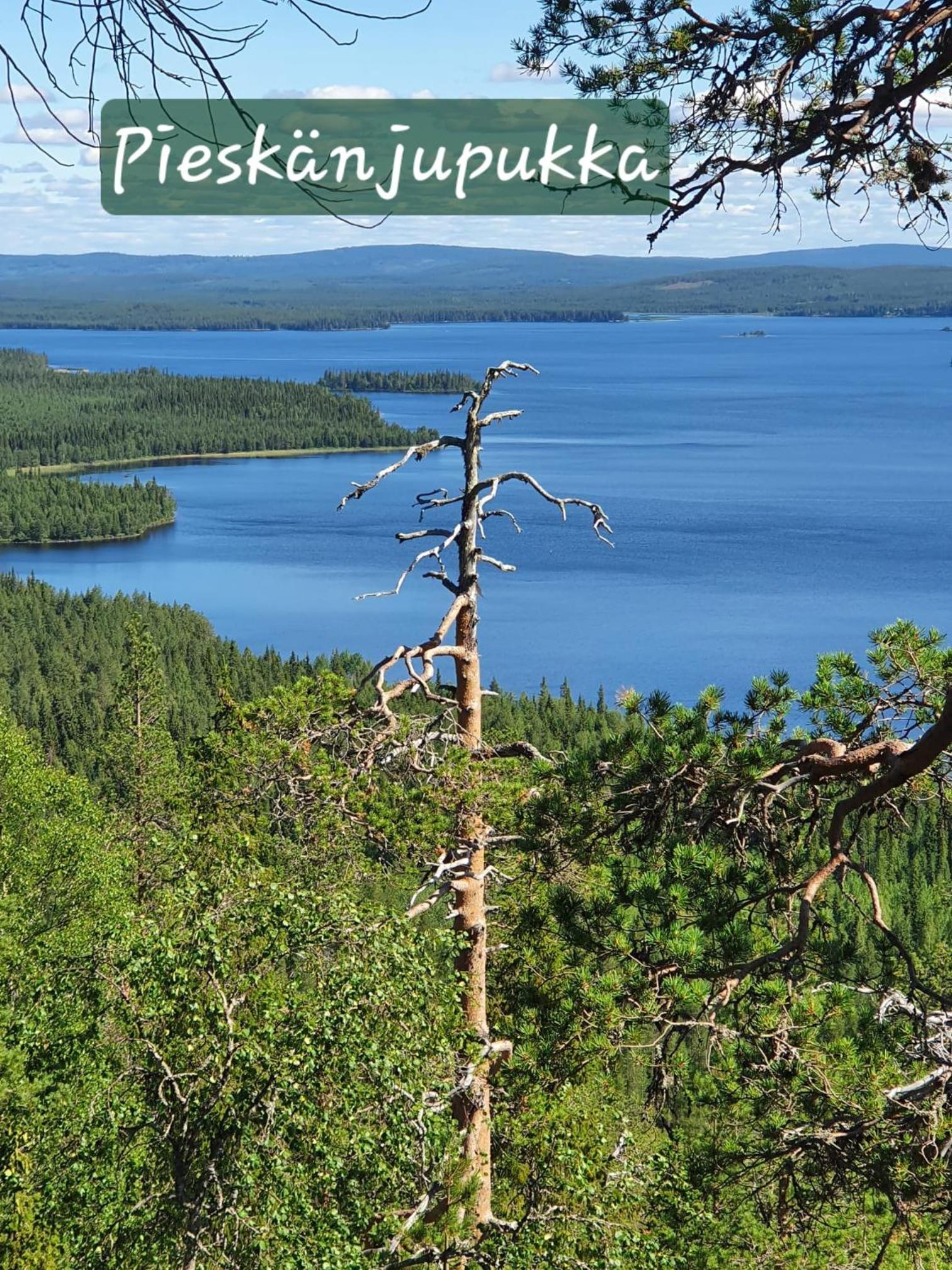 Blueberry Hill with car rental