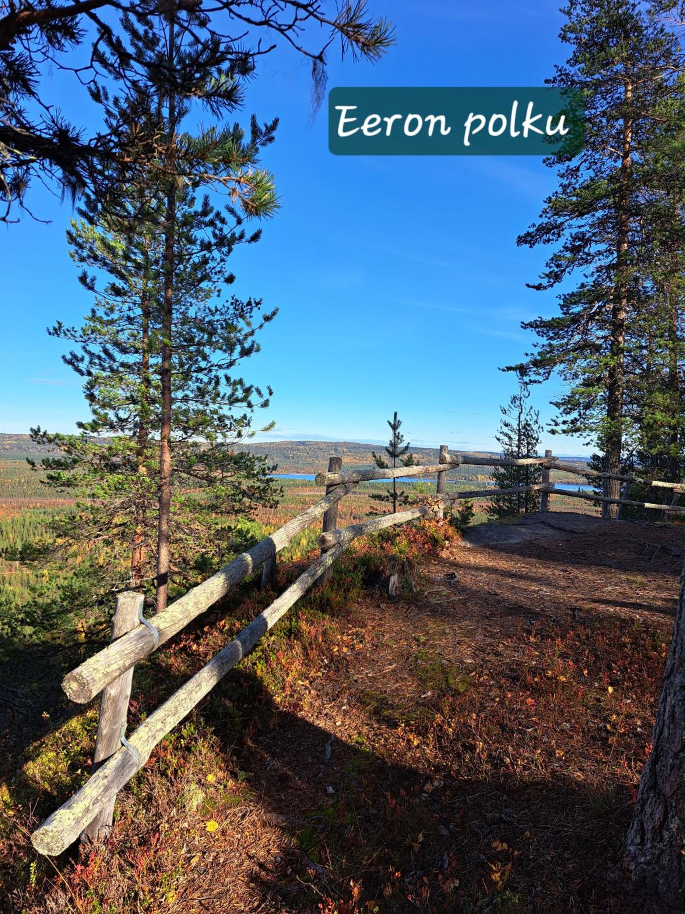 Blueberry Hill with car rental